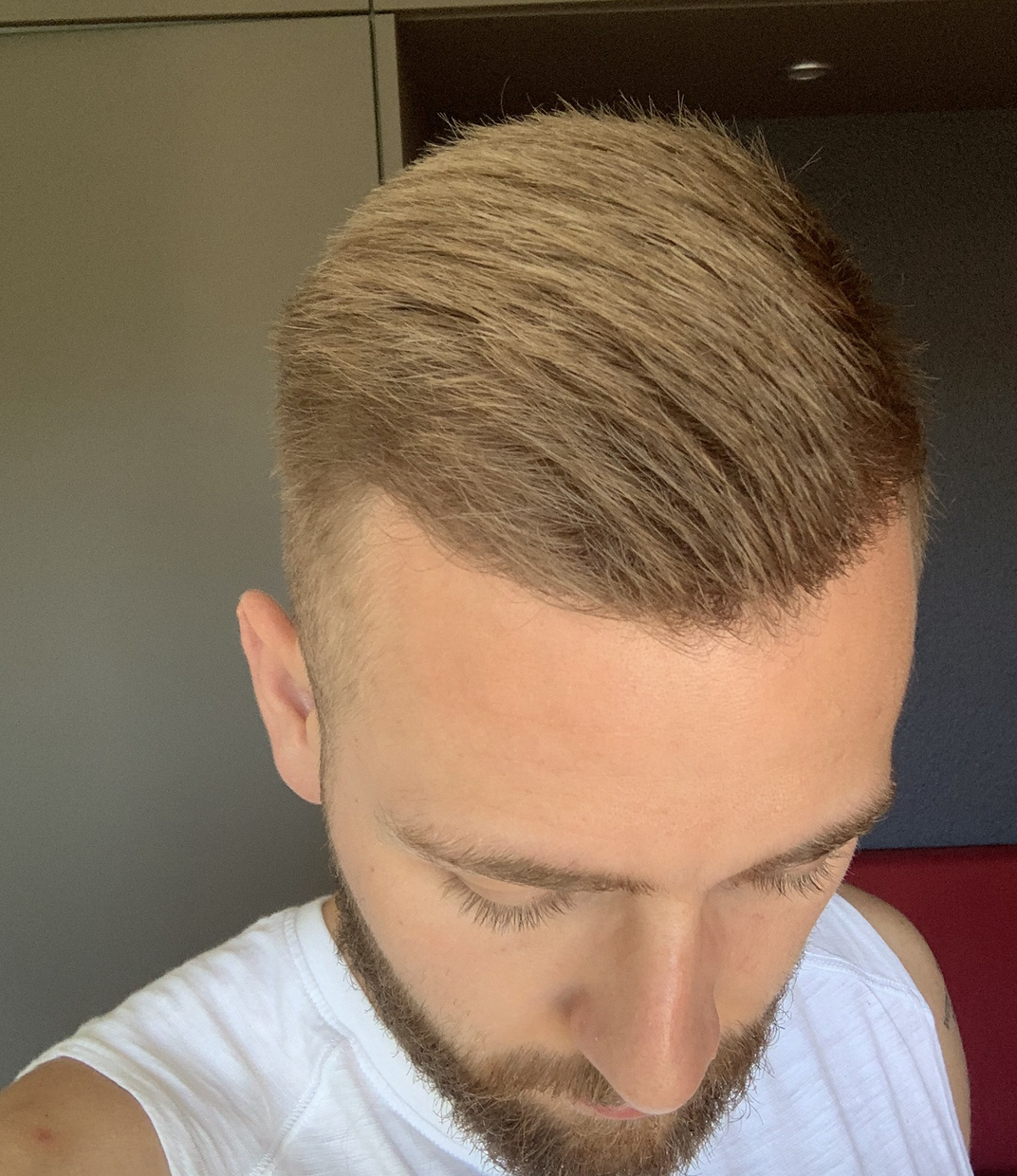 /foren/transplant/index.php/fa/47181/0/