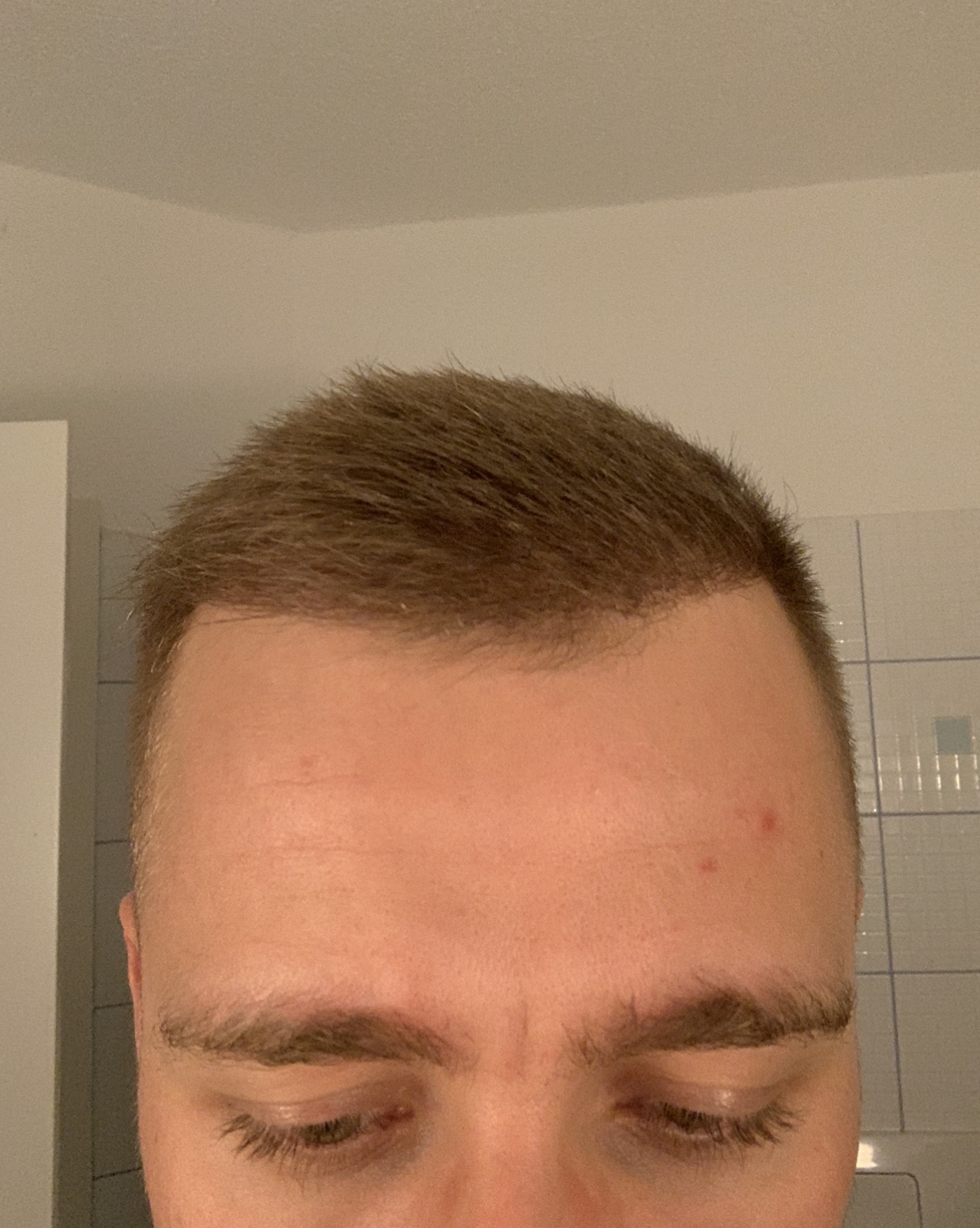 /foren/transplant/index.php/fa/47203/0/