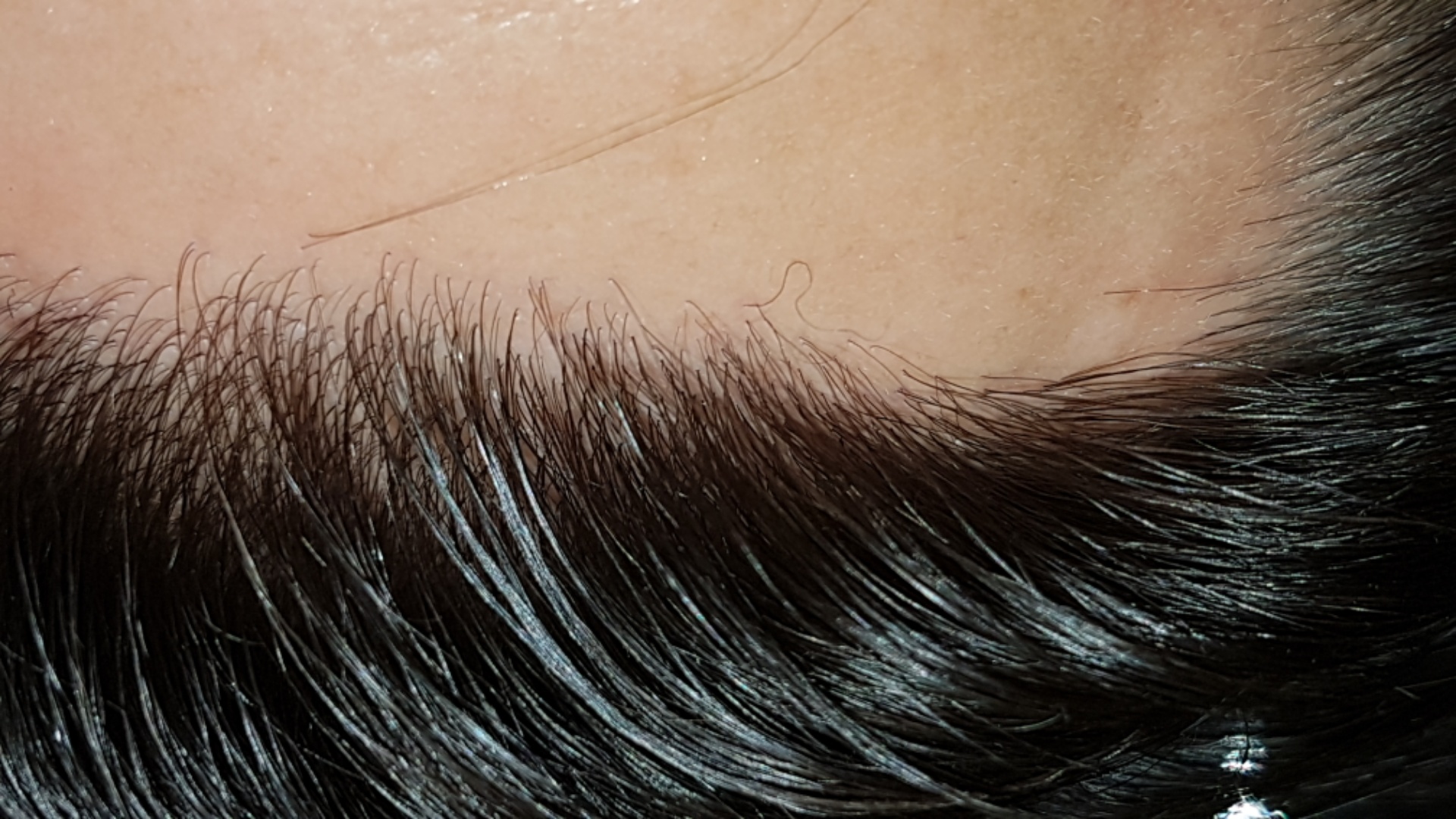 /foren/transplant/index.php/fa/47397/0/