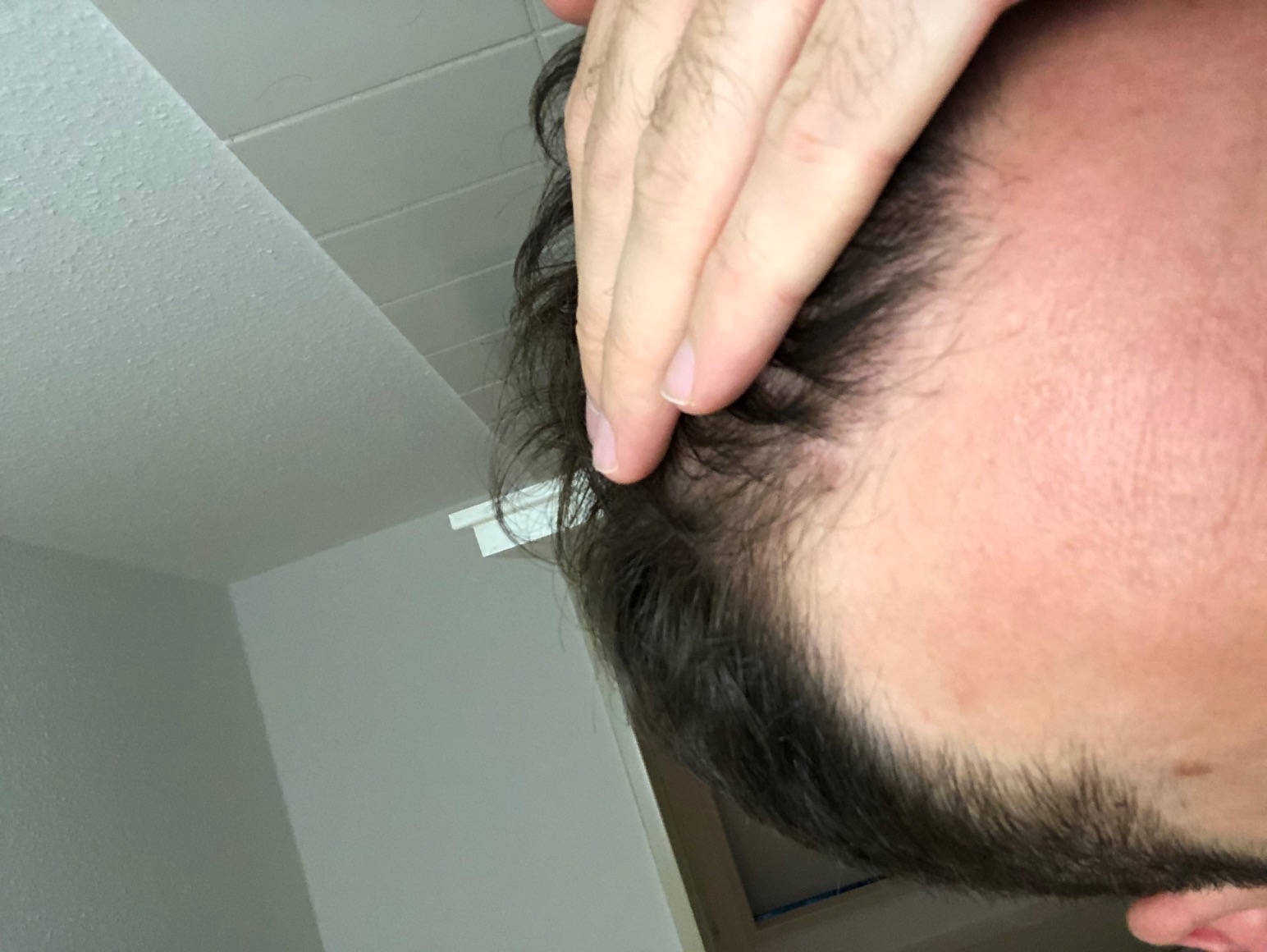 /foren/transplant/index.php/fa/47474/0/