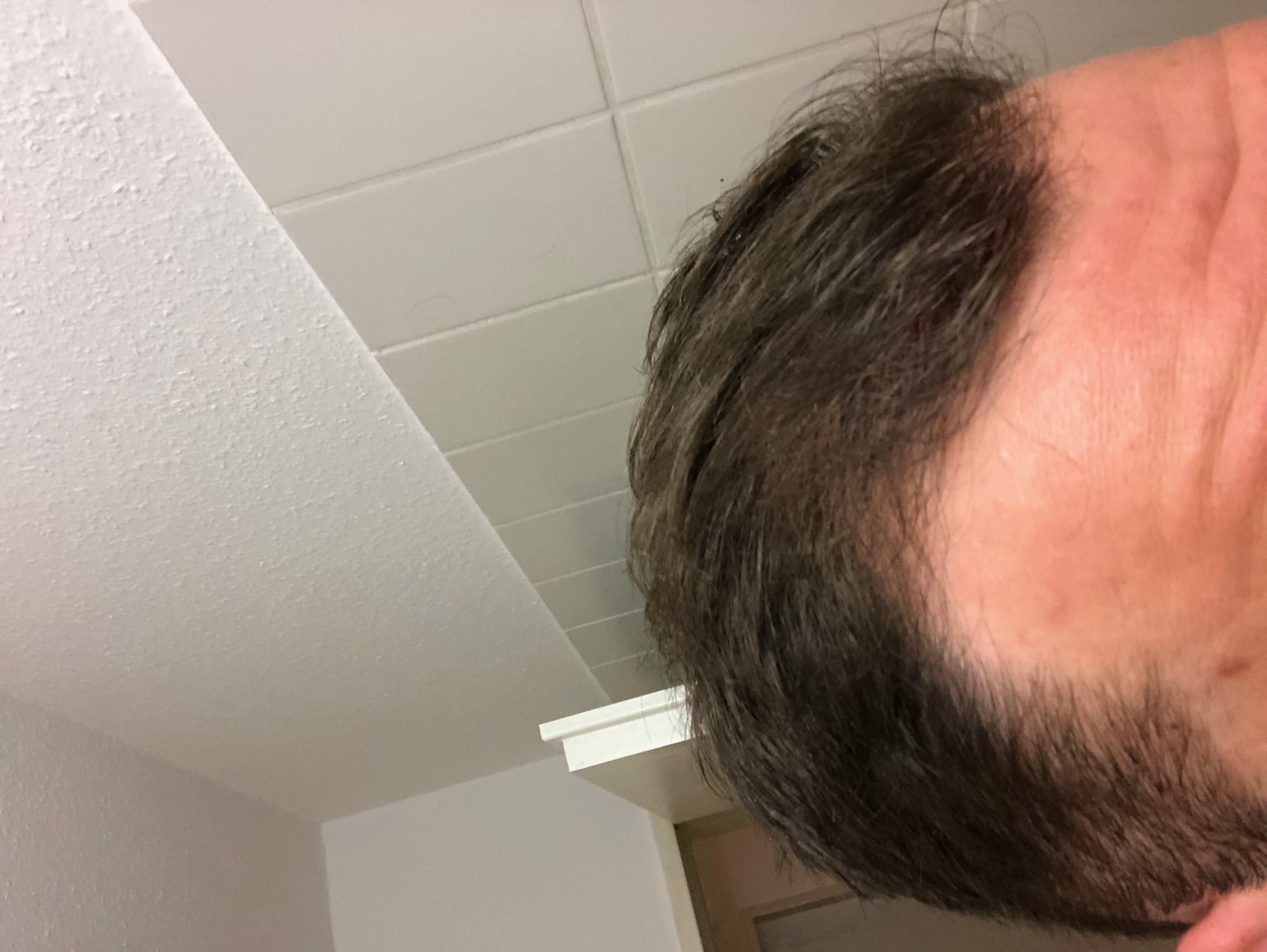 /foren/transplant/index.php/fa/47475/0/