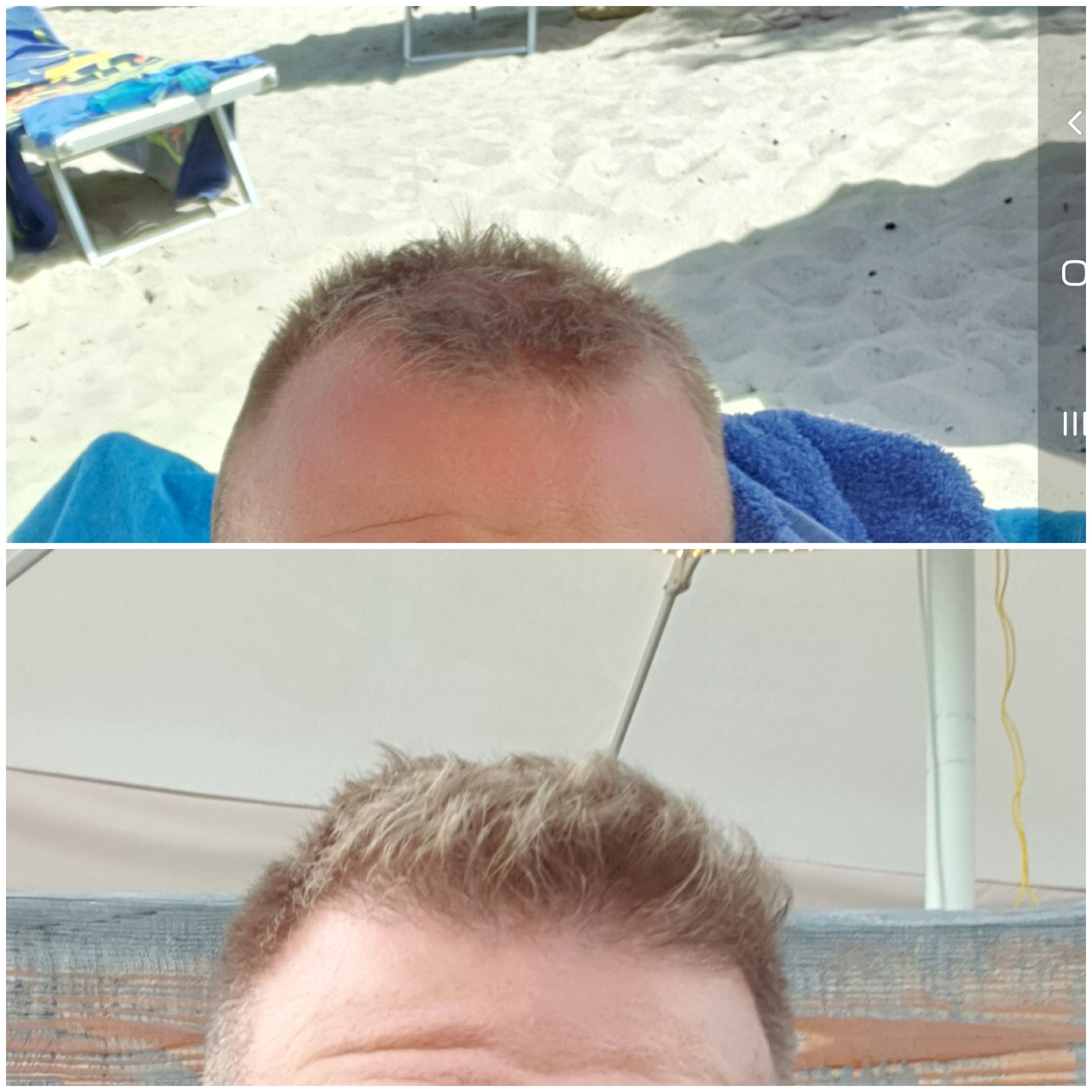 /foren/transplant/index.php/fa/47490/0/