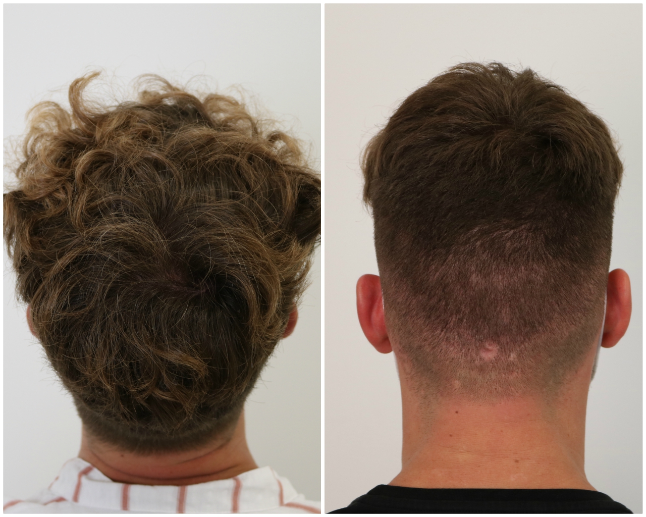 /foren/transplant/index.php/fa/48524/0/