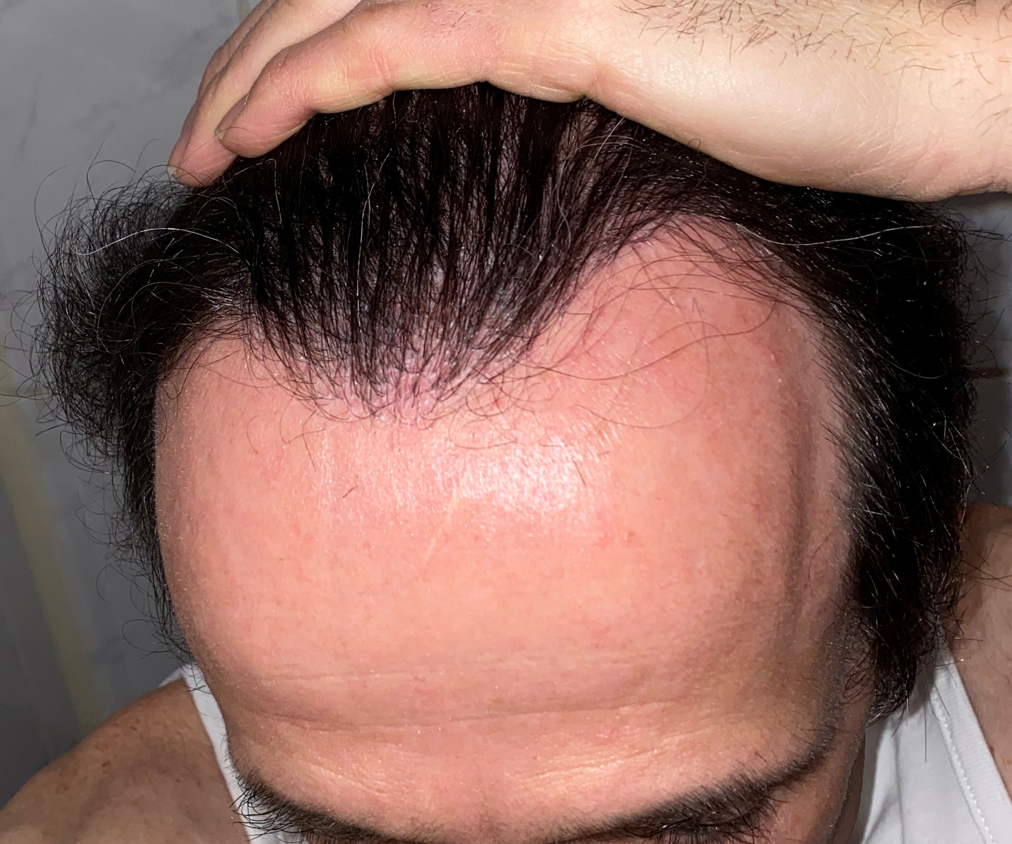 /foren/transplant/index.php/fa/48931/0/