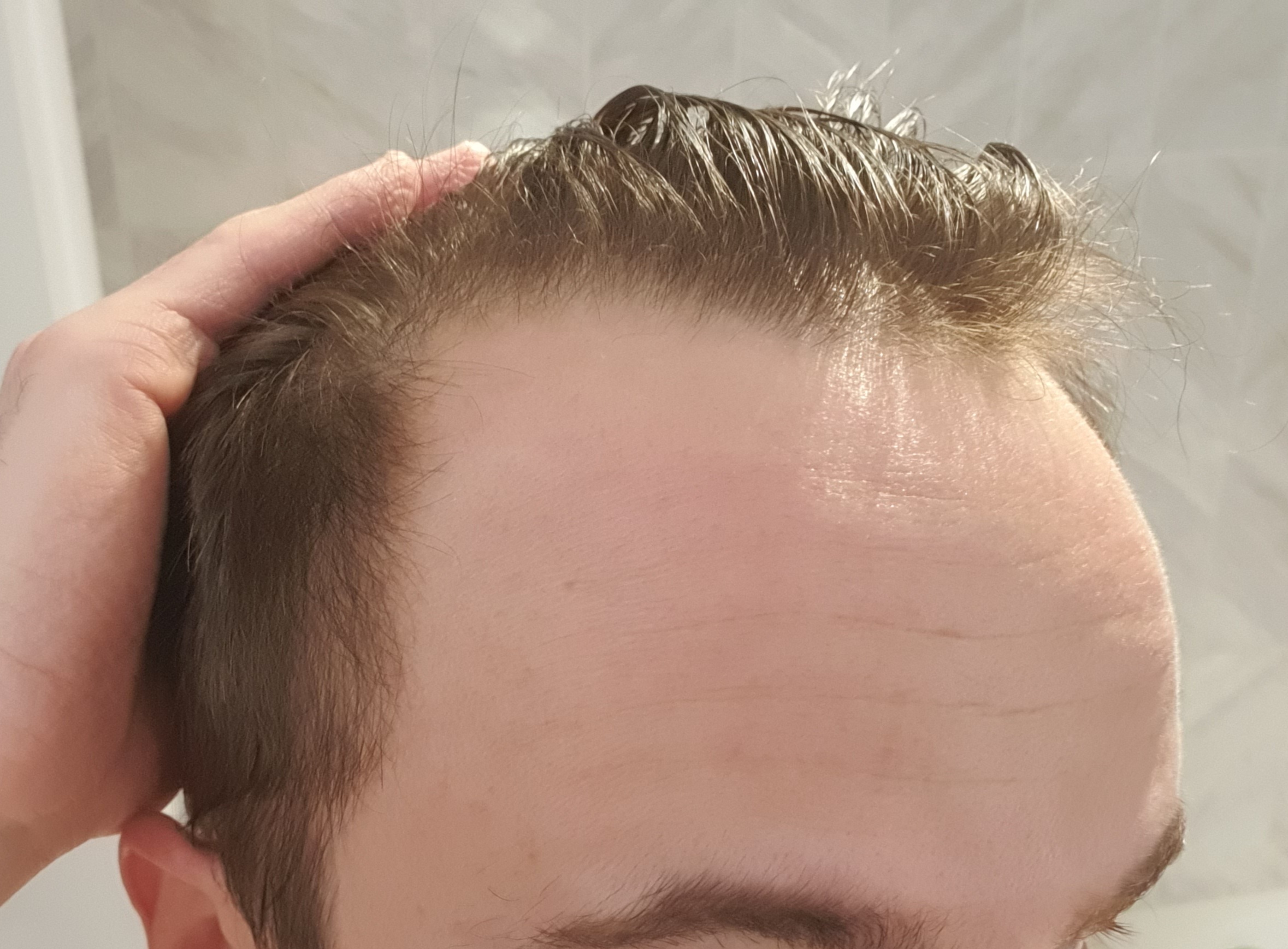 /foren/transplant/index.php/fa/49596/0/