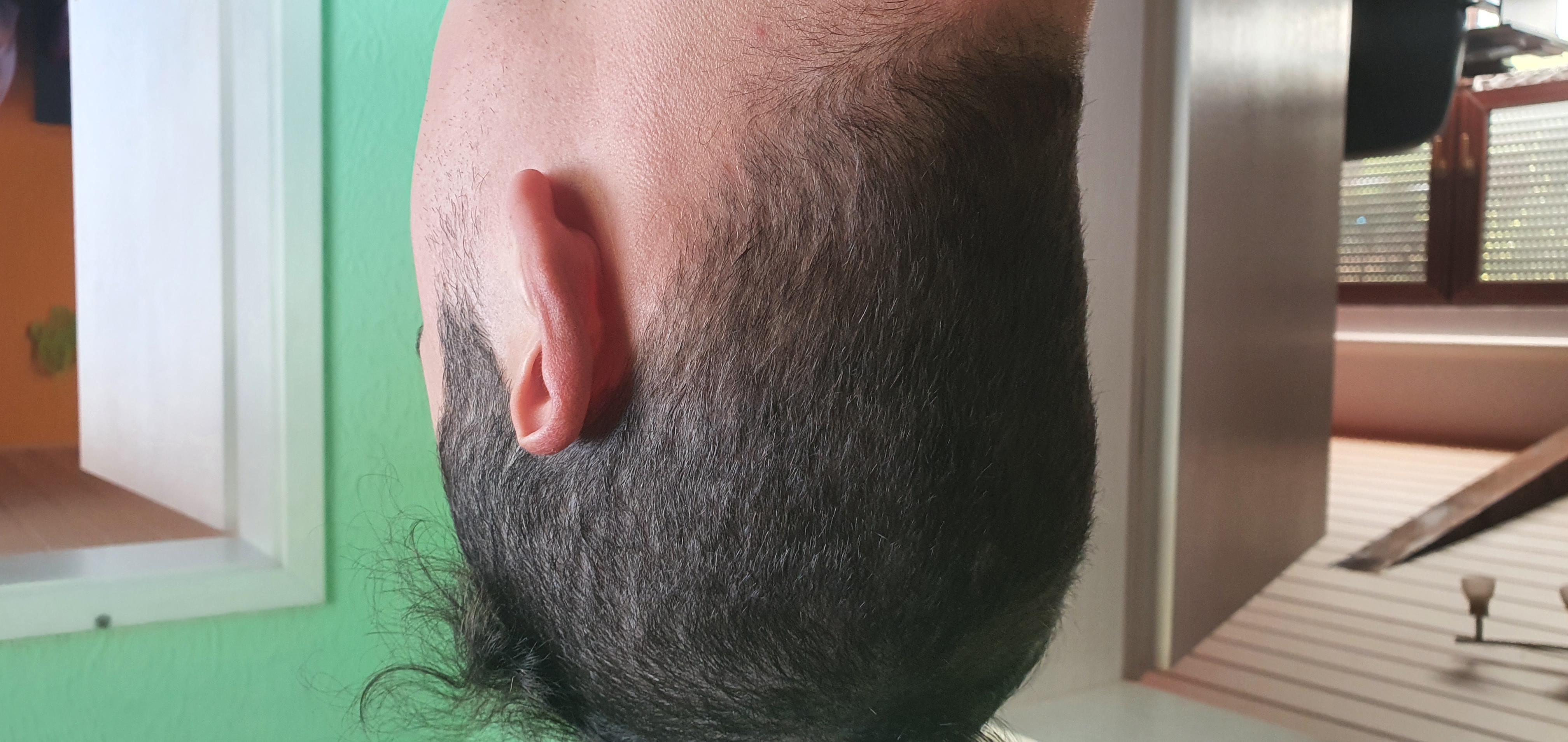 /foren/transplant/index.php/fa/50287/0/