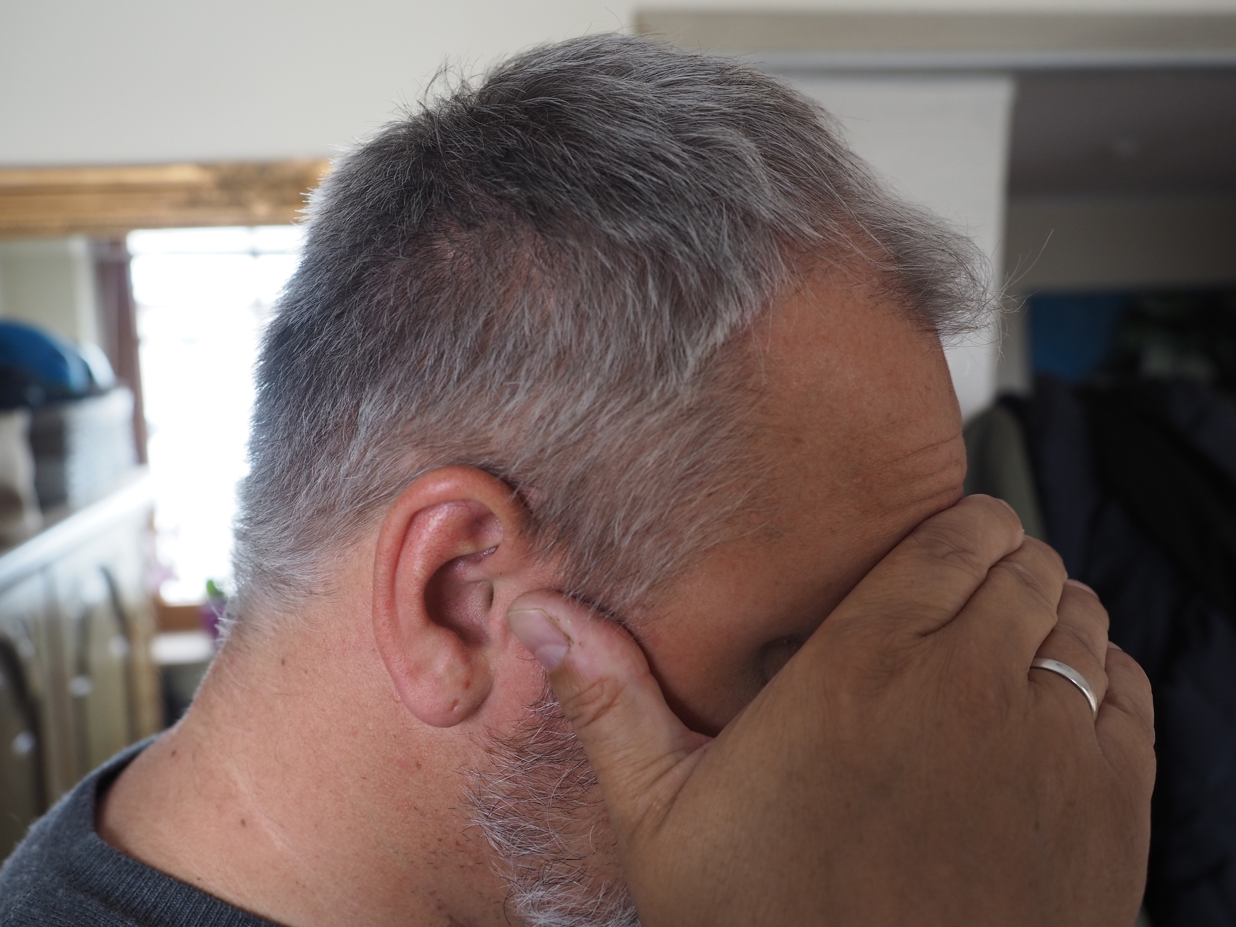 /foren/transplant/index.php/fa/51953/0/