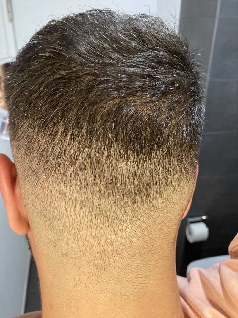 /foren/transplant/index.php/fa/52535/0/