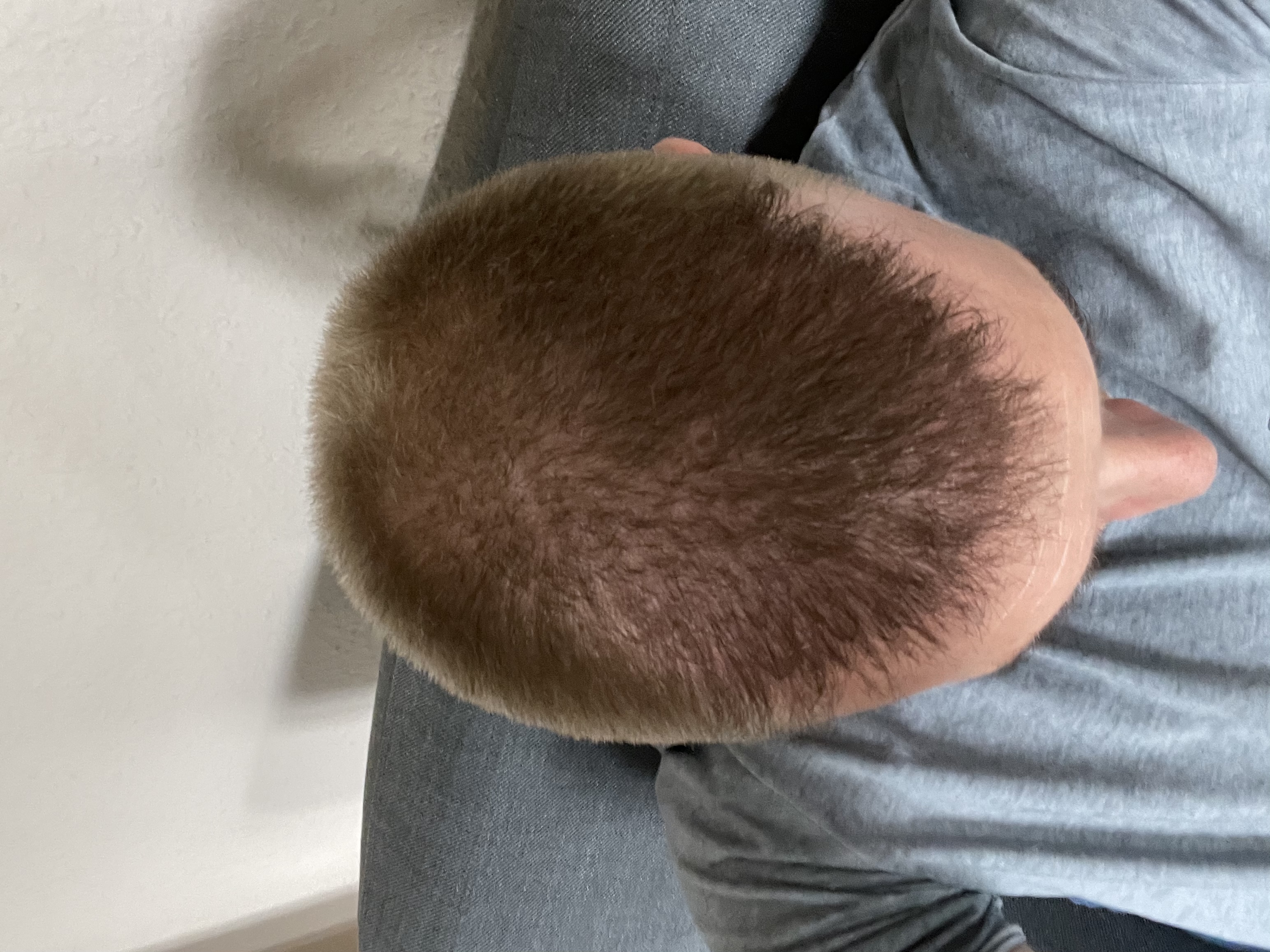 /foren/transplant/index.php/fa/52942/0/