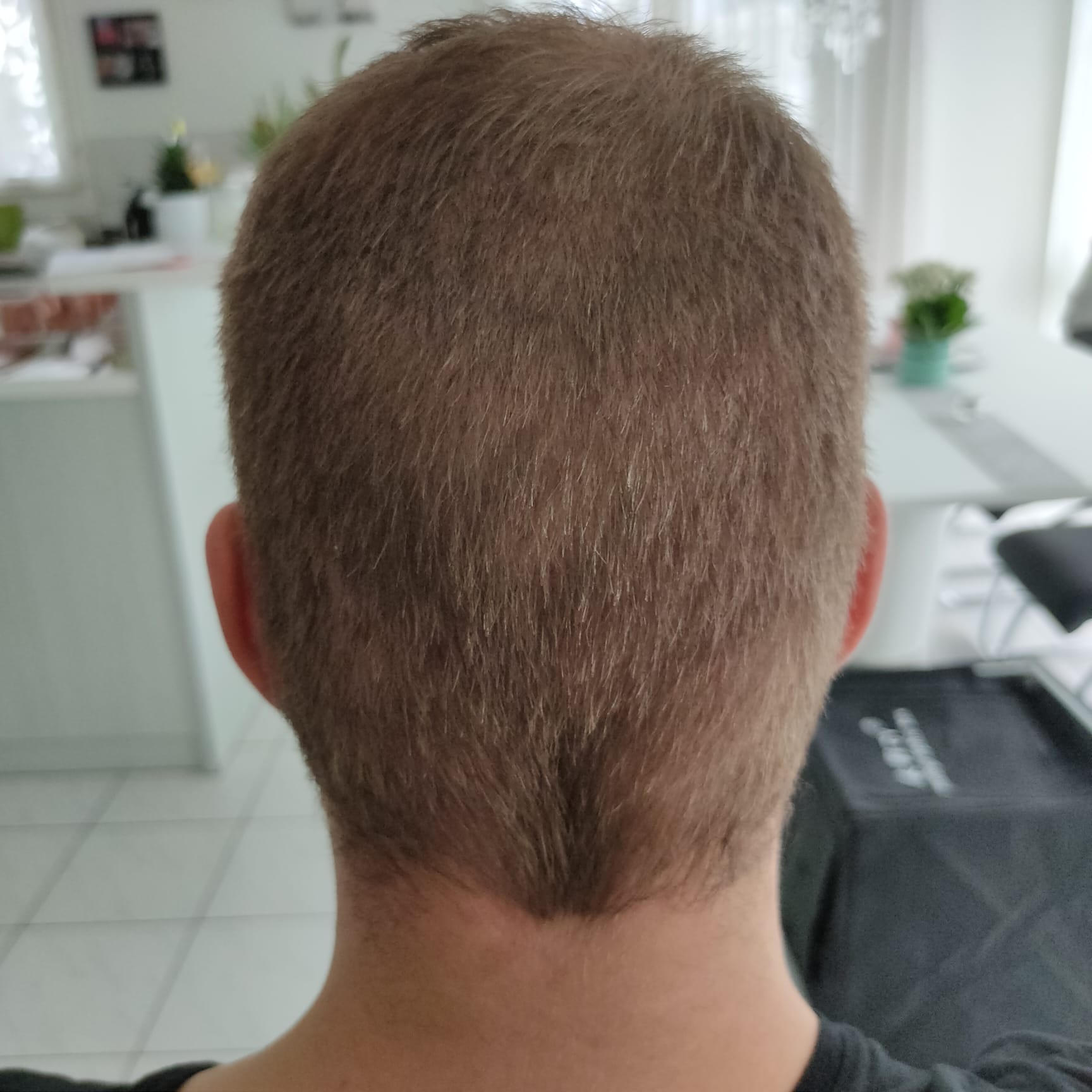 /foren/transplant/index.php/fa/53740/0/