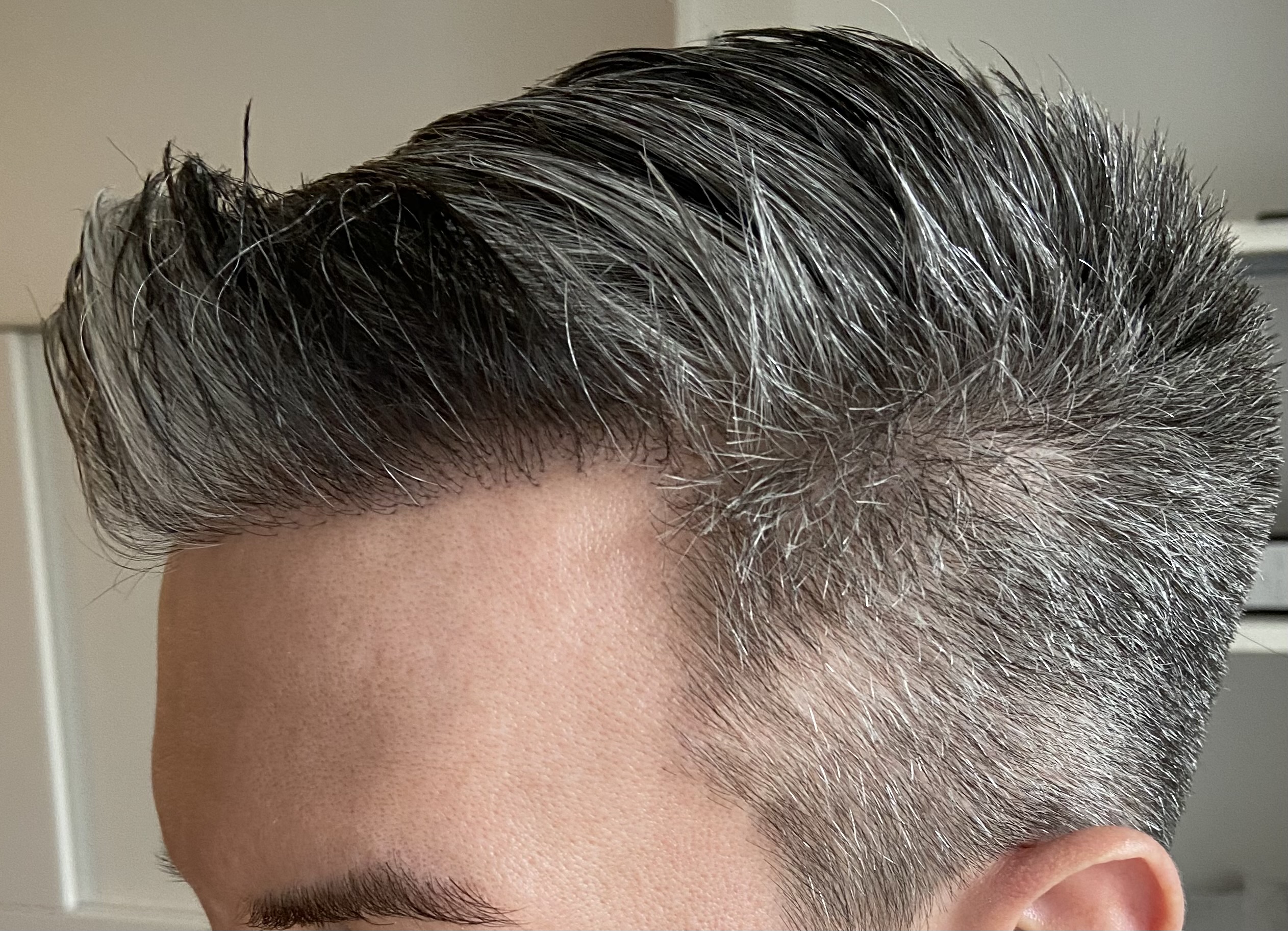 /foren/transplant/index.php/fa/55038/0/