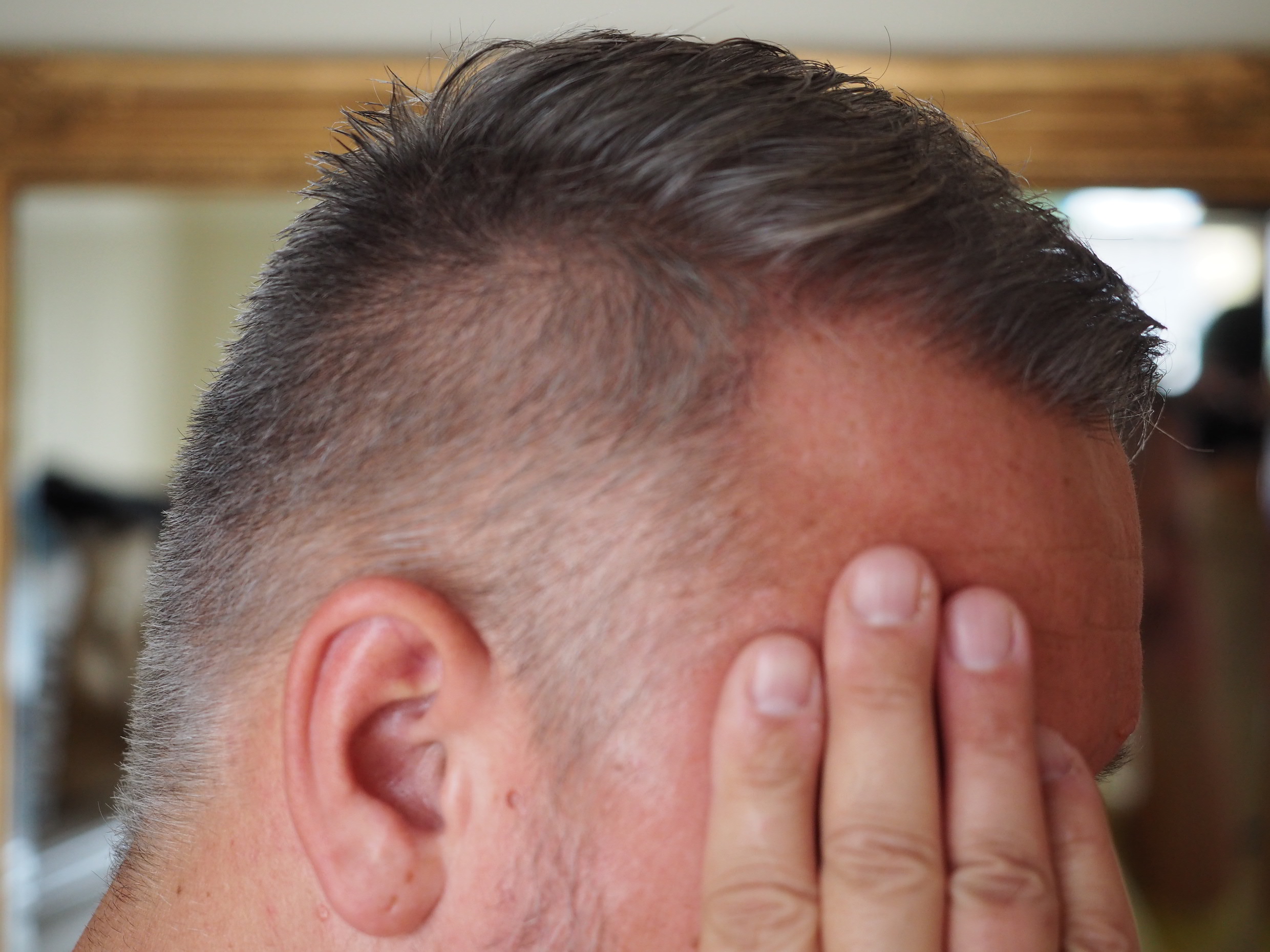 /foren/transplant/index.php/fa/55088/0/