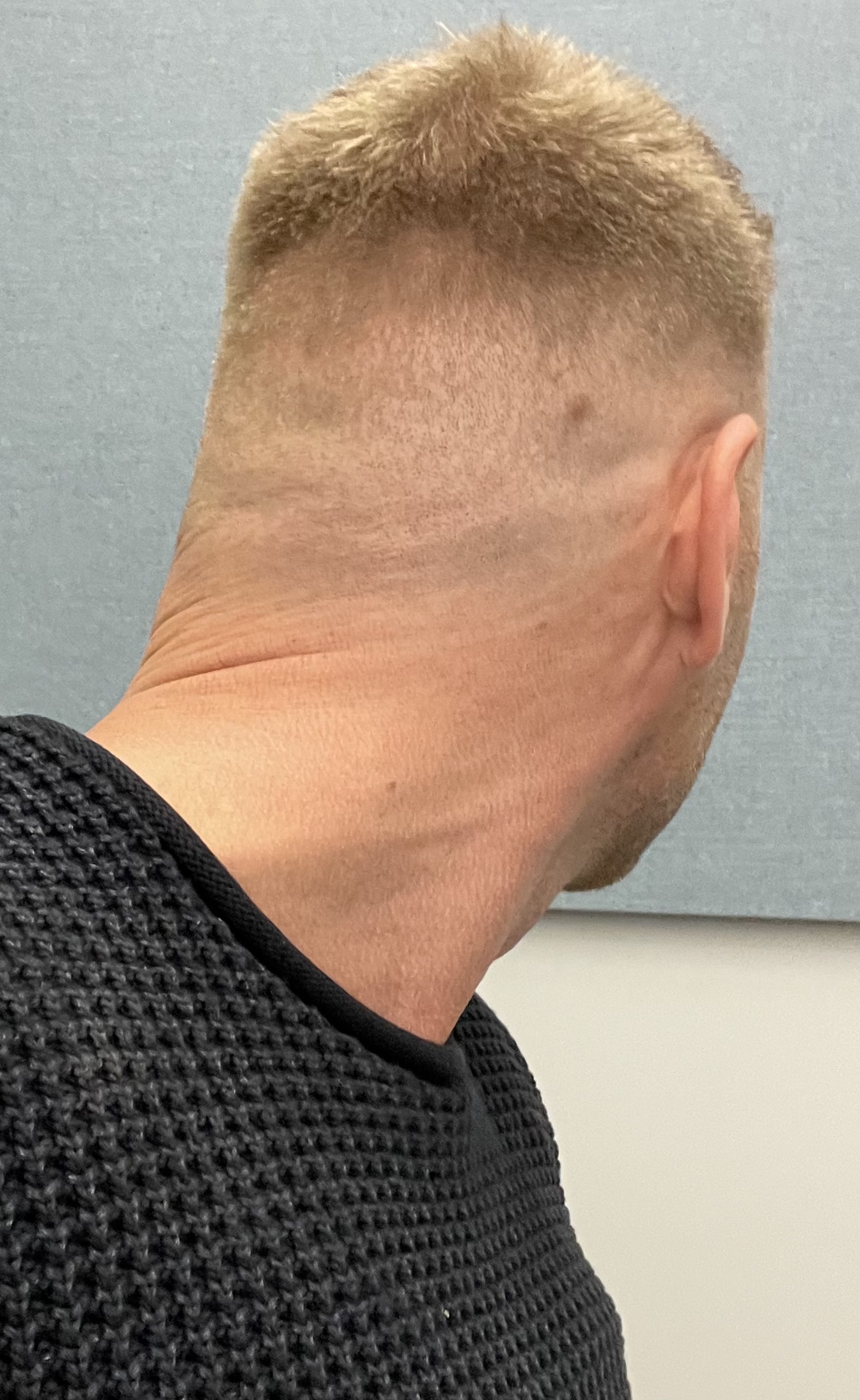 /foren/transplant/index.php/fa/56045/0/