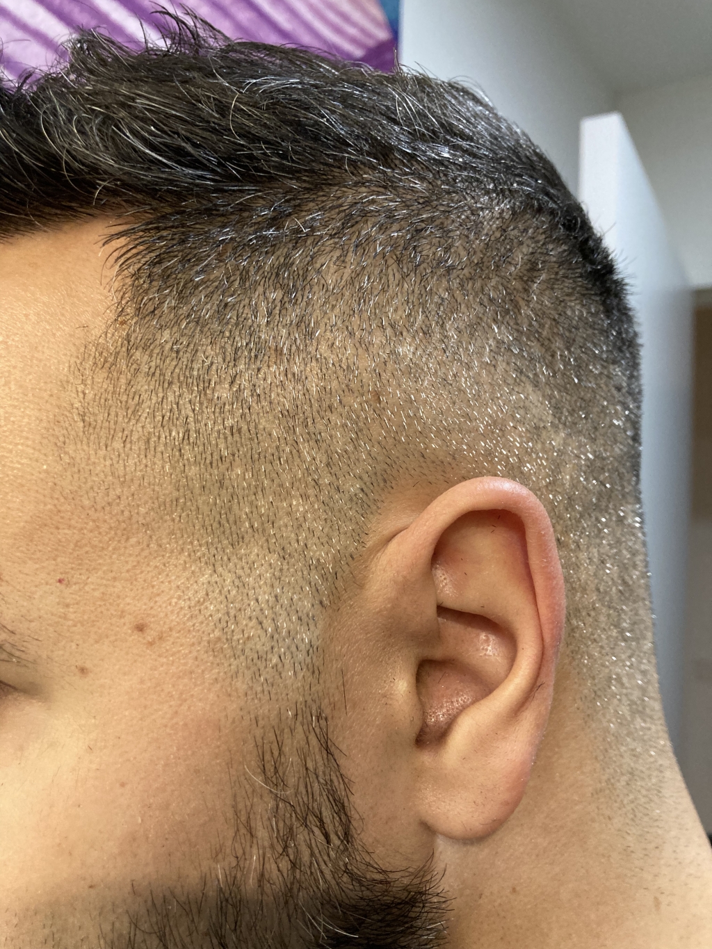 /foren/transplant/index.php/fa/56052/0/