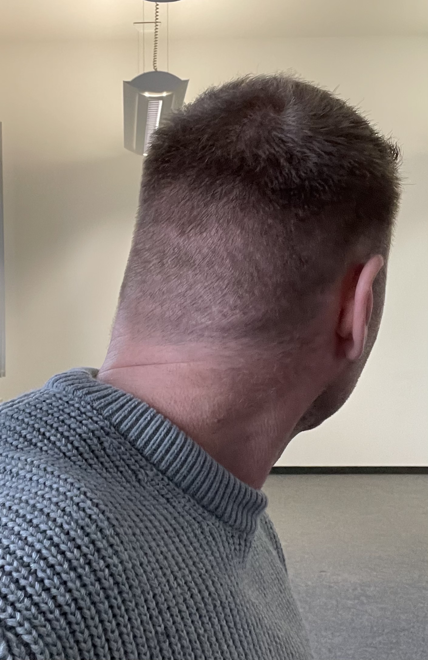 /foren/transplant/index.php/fa/56264/0/