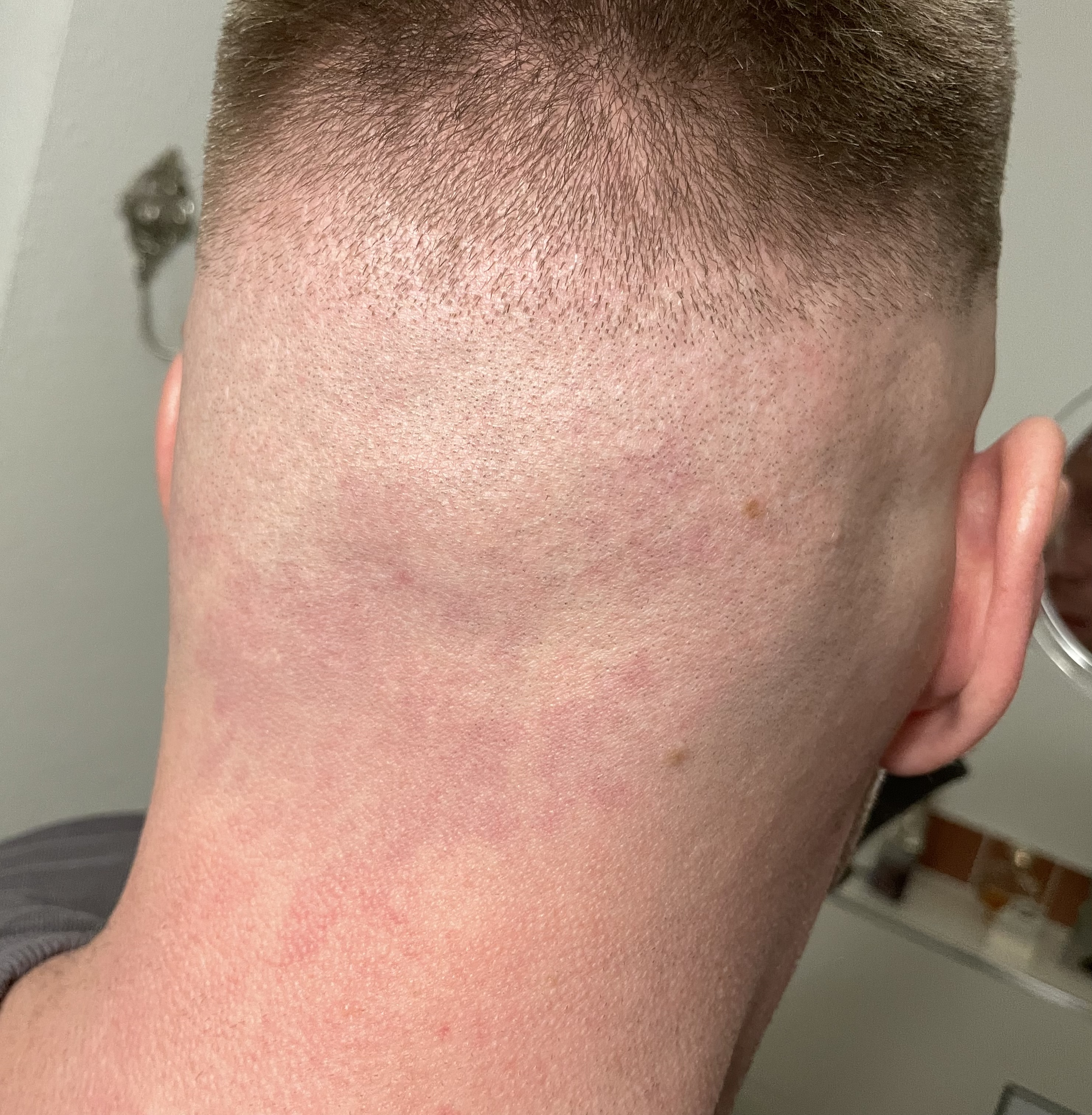 /foren/transplant/index.php/fa/56976/0/