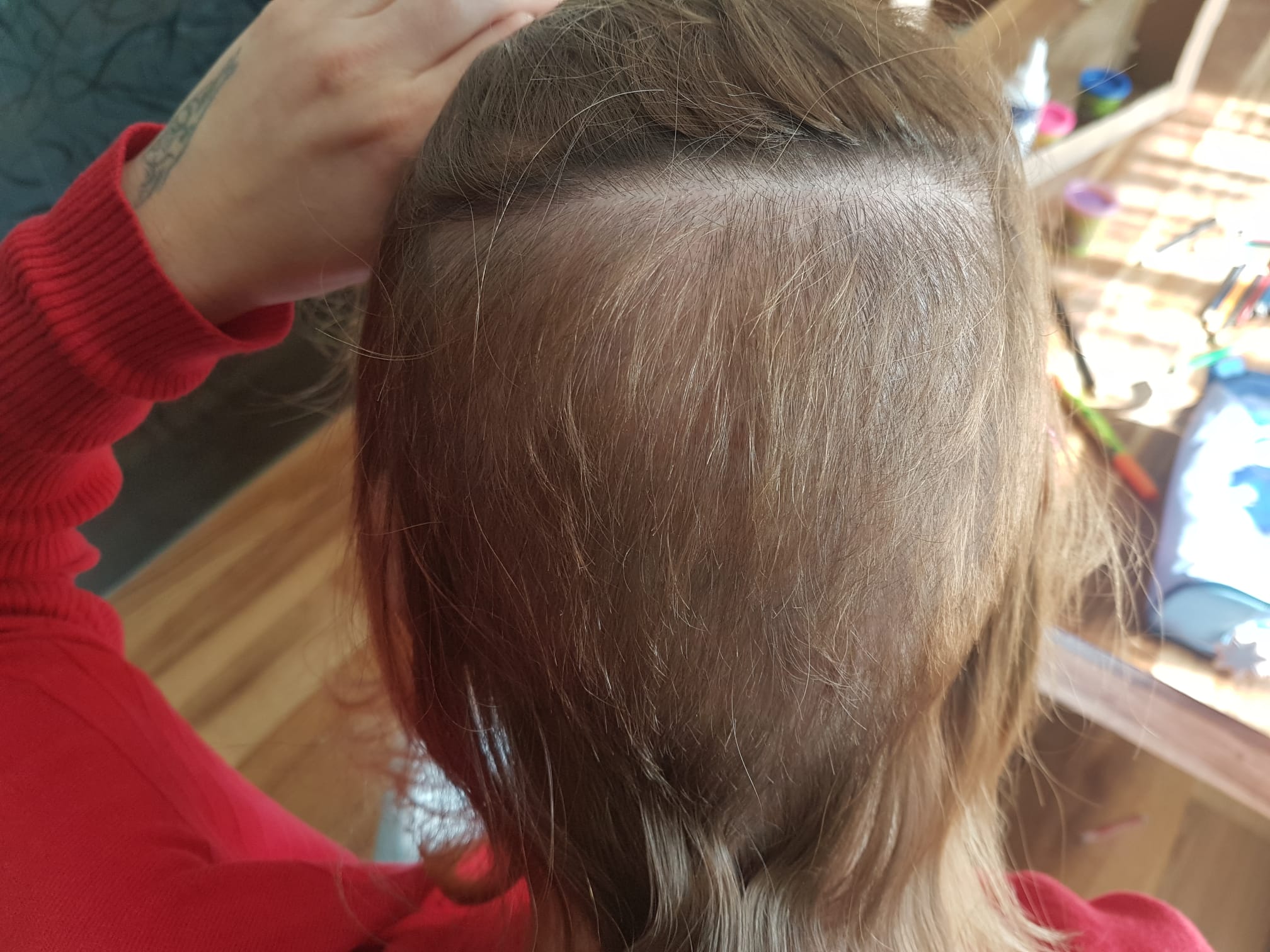 /foren/transplant/index.php/fa/57013/0/