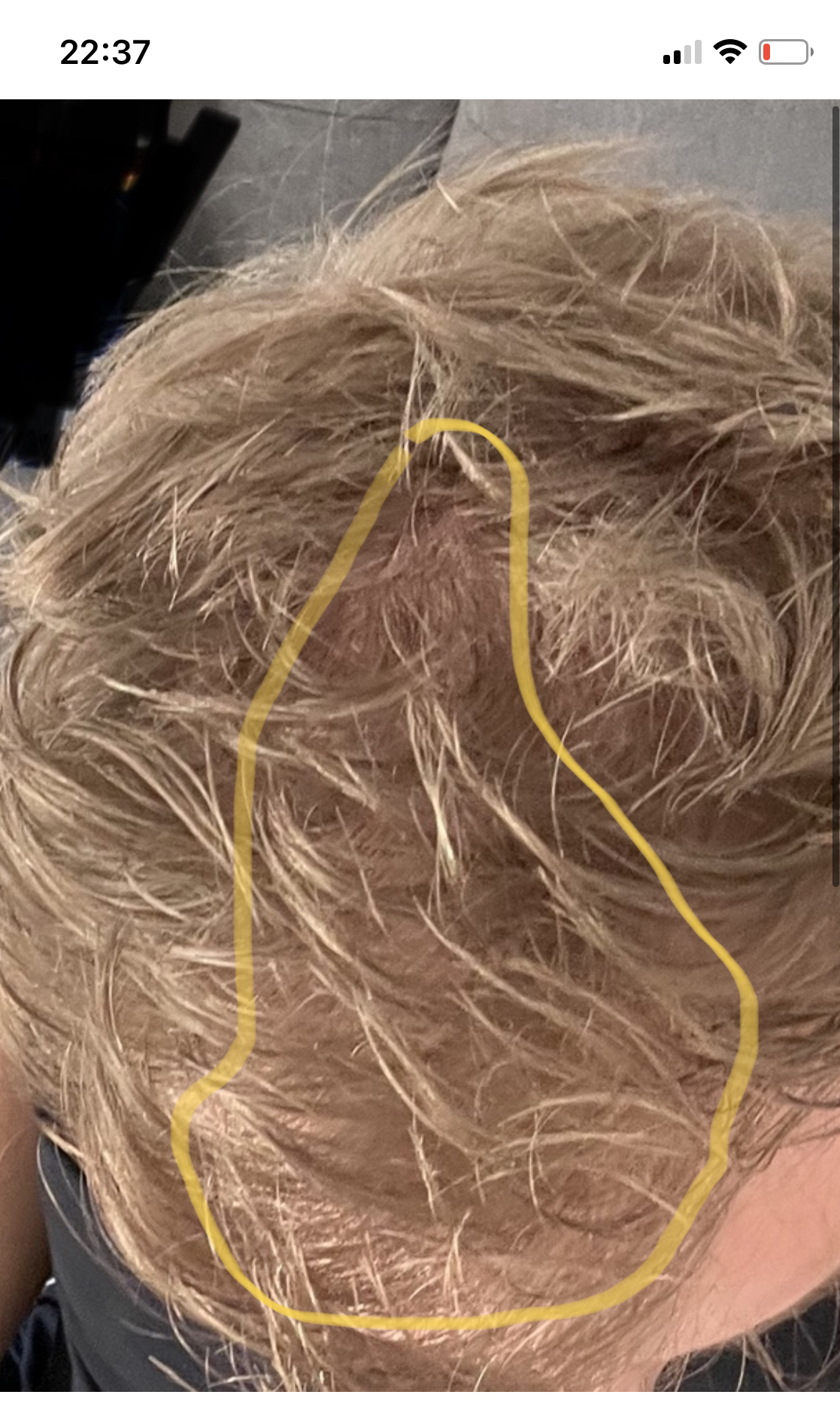 /foren/transplant/index.php/fa/57514/0/