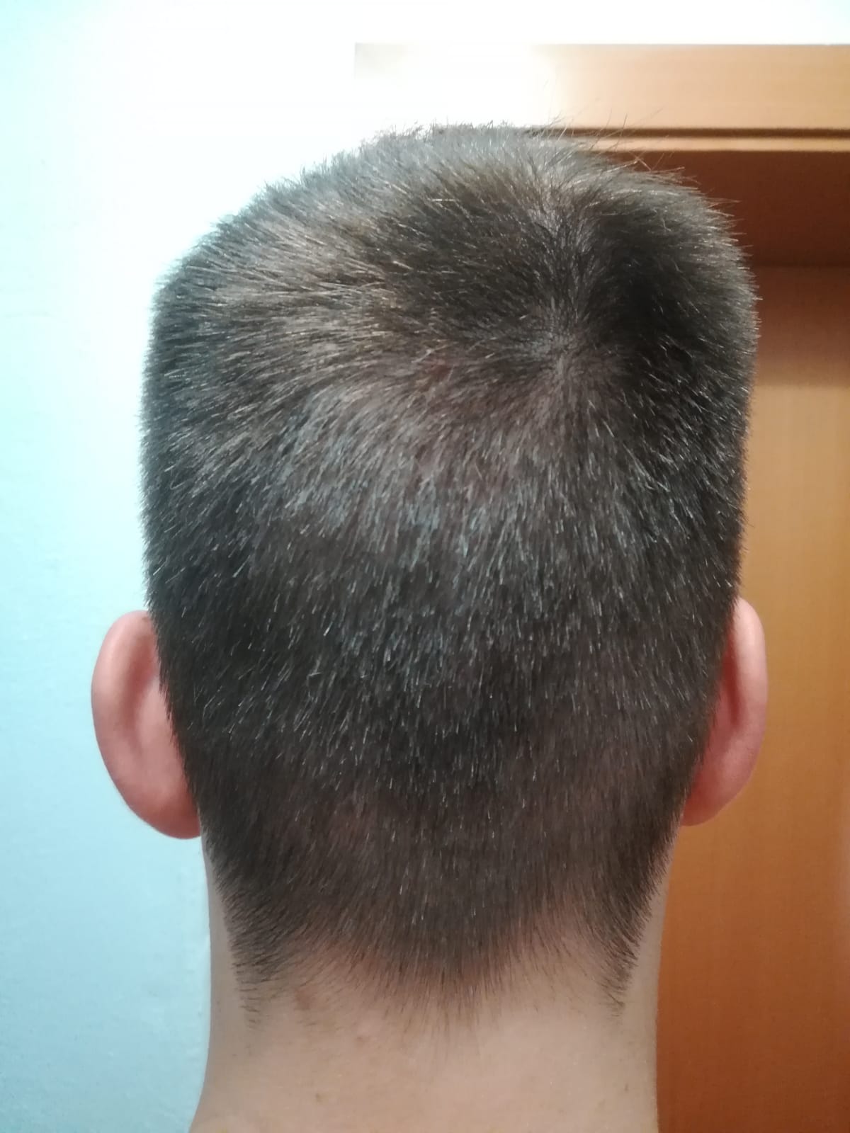 /foren/transplant/index.php/fa/59376/0/