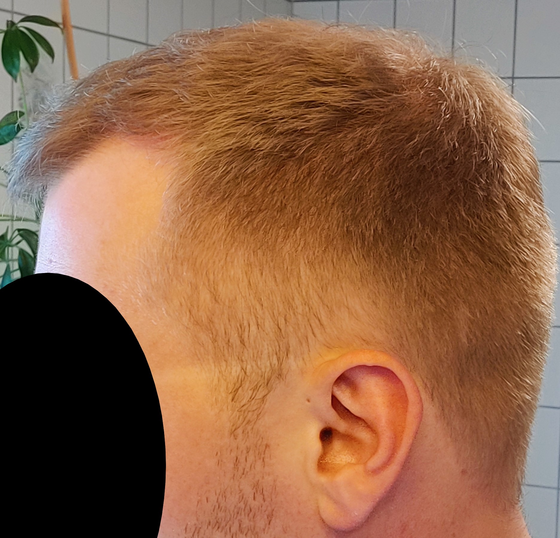 /foren/transplant/index.php/fa/61993/0/