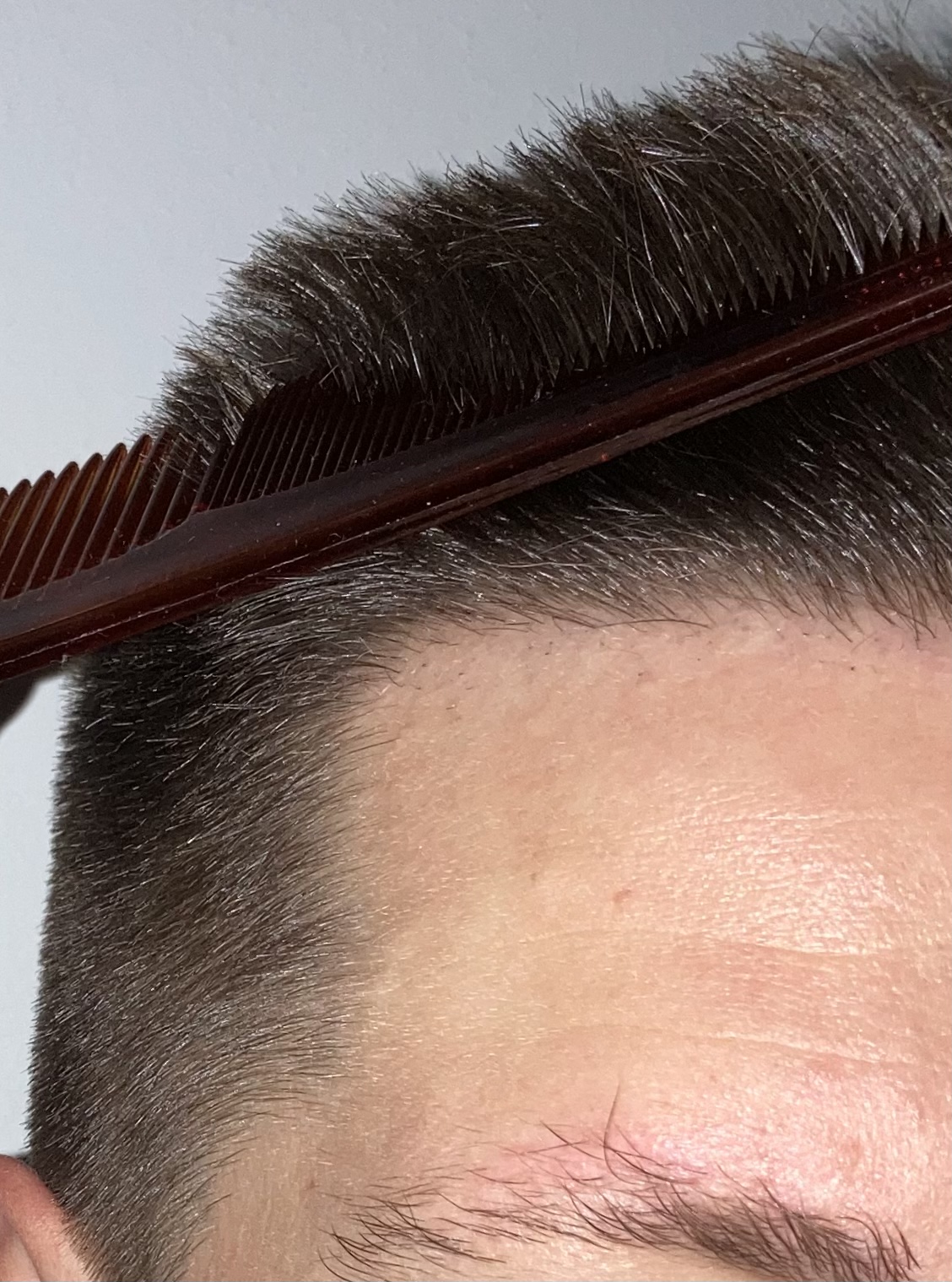 /foren/transplant/index.php/fa/62314/0/