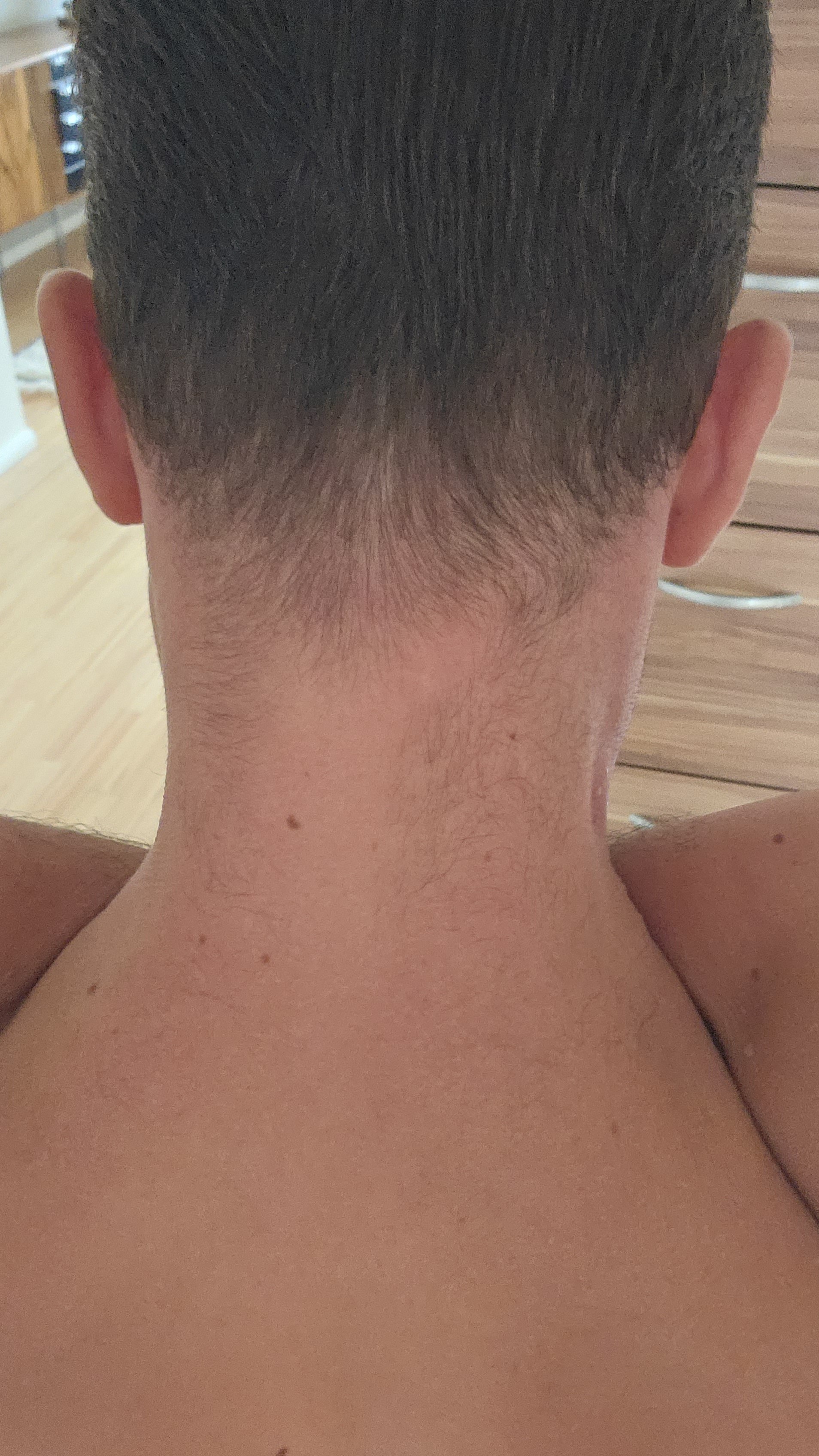 /foren/transplant/index.php/fa/62735/0/