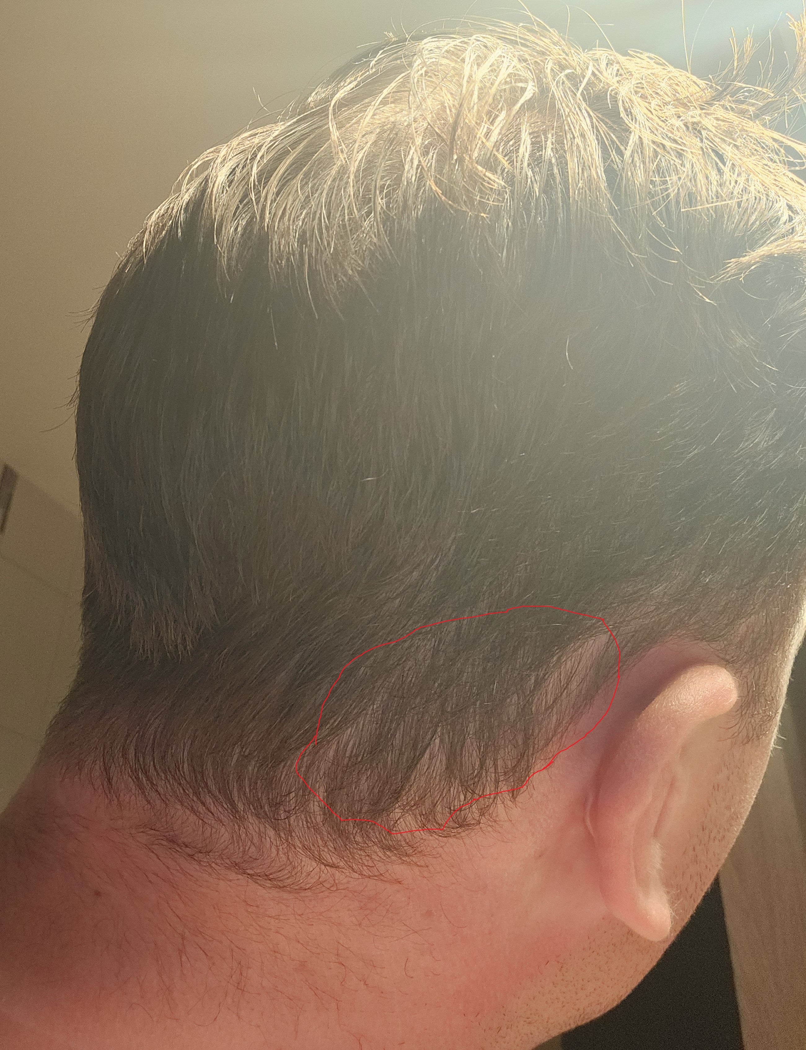 /foren/transplant/index.php/fa/62761/0/