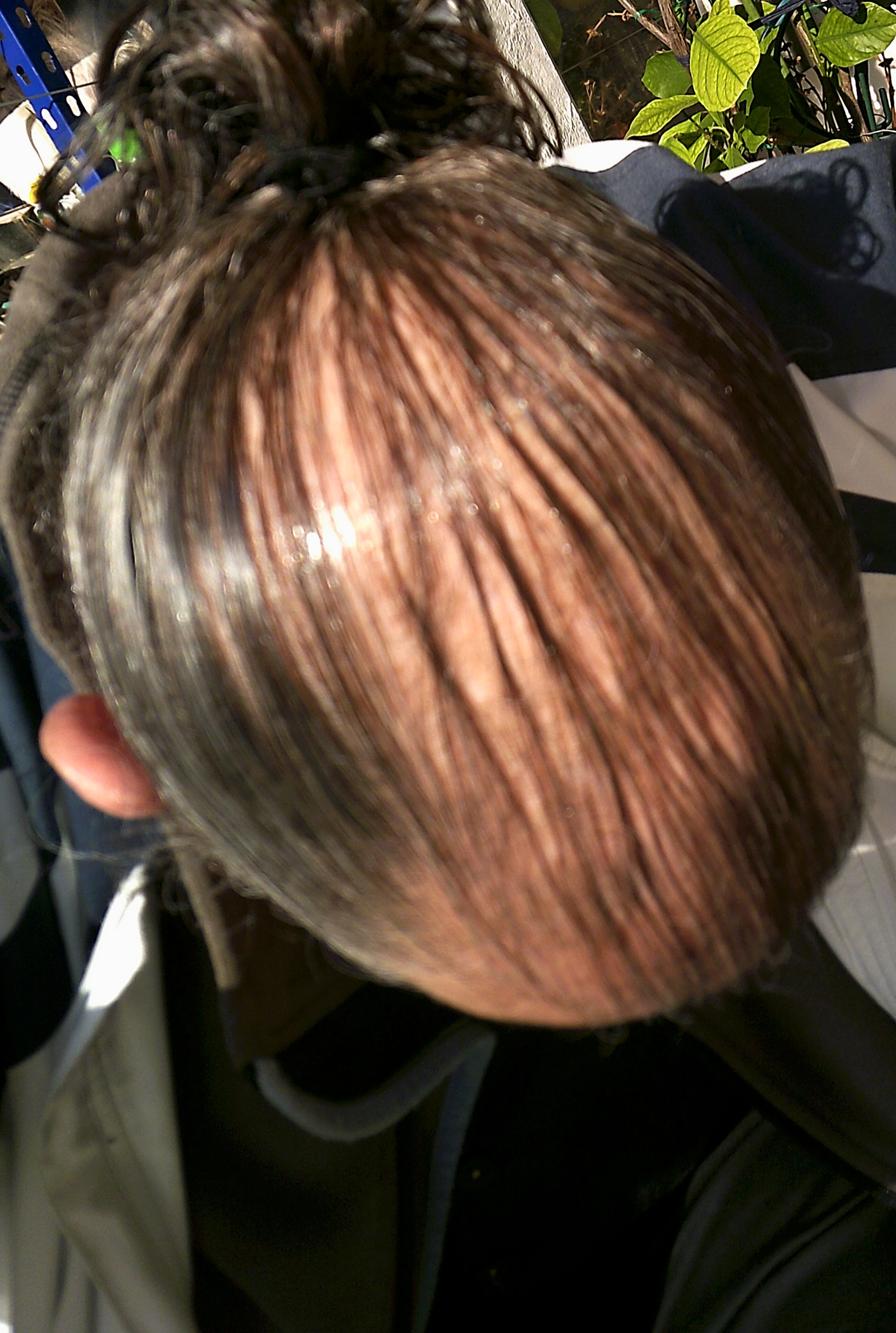 /foren/transplant/index.php/fa/62830/0/