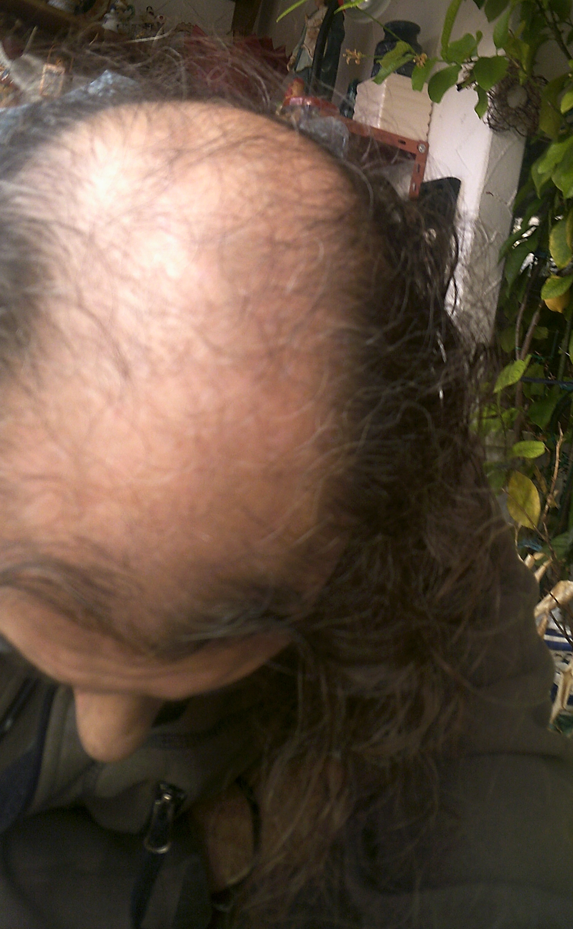 /foren/transplant/index.php/fa/62839/0/