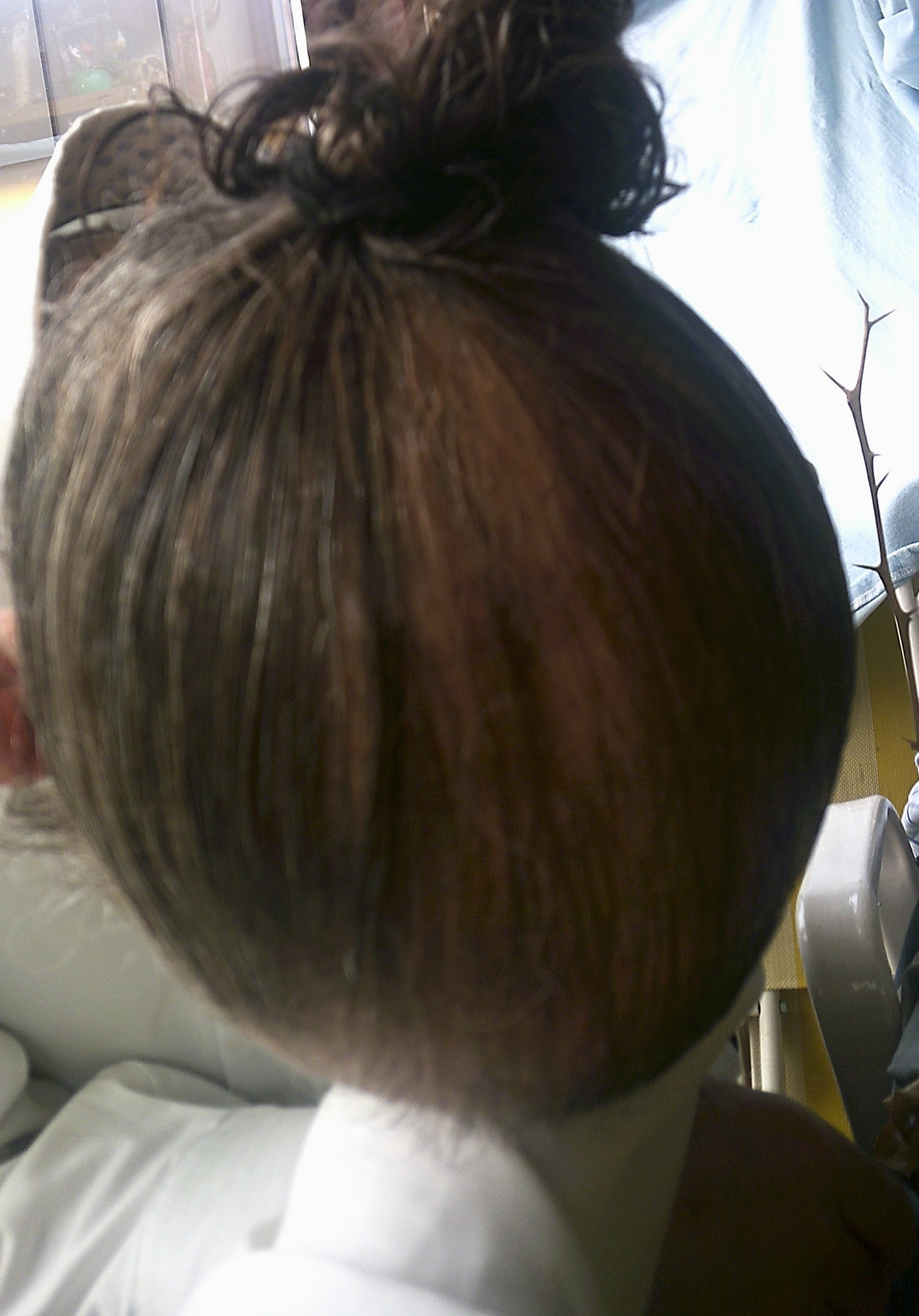 /foren/transplant/index.php/fa/62841/0/