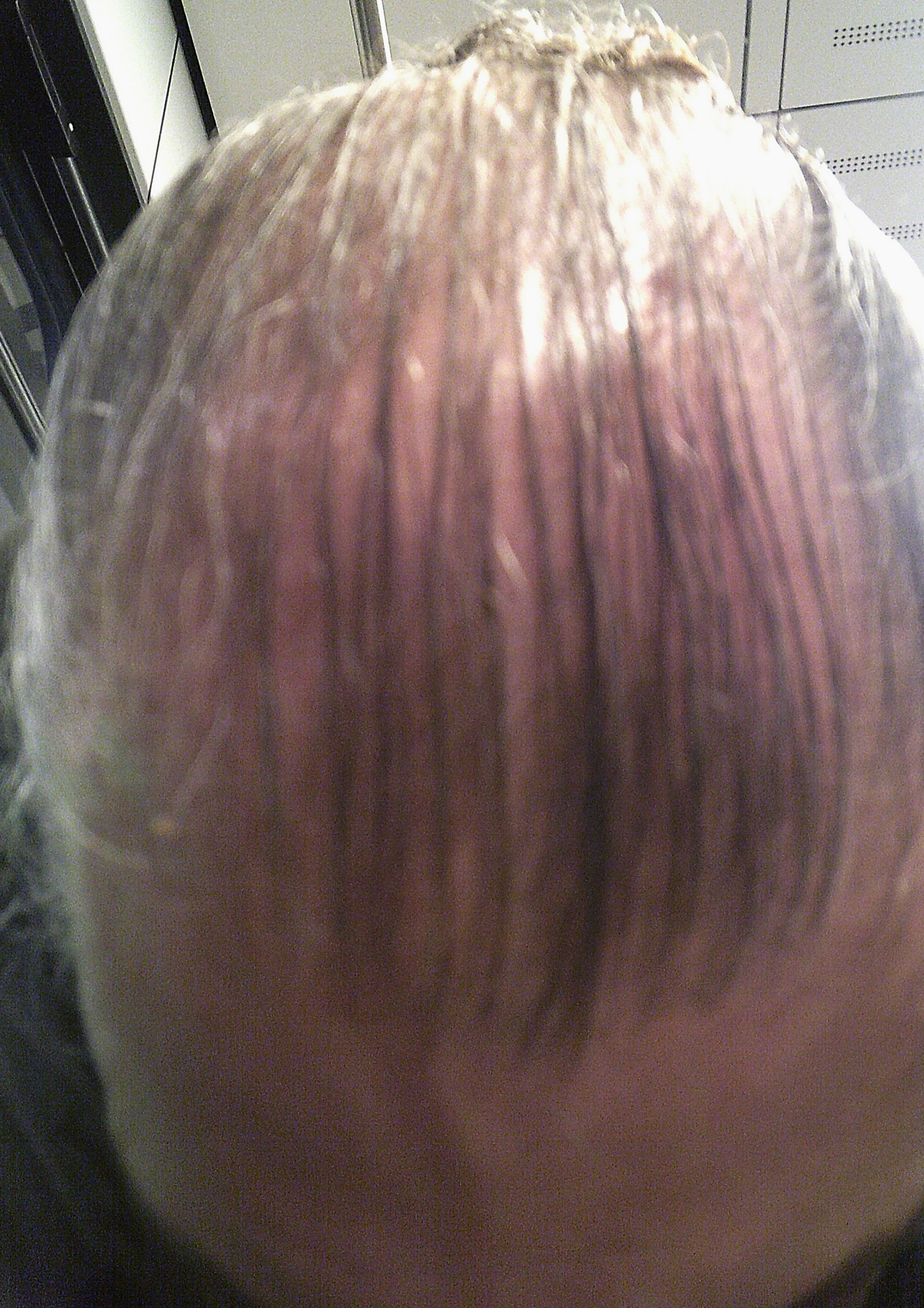 /foren/transplant/index.php/fa/62847/0/