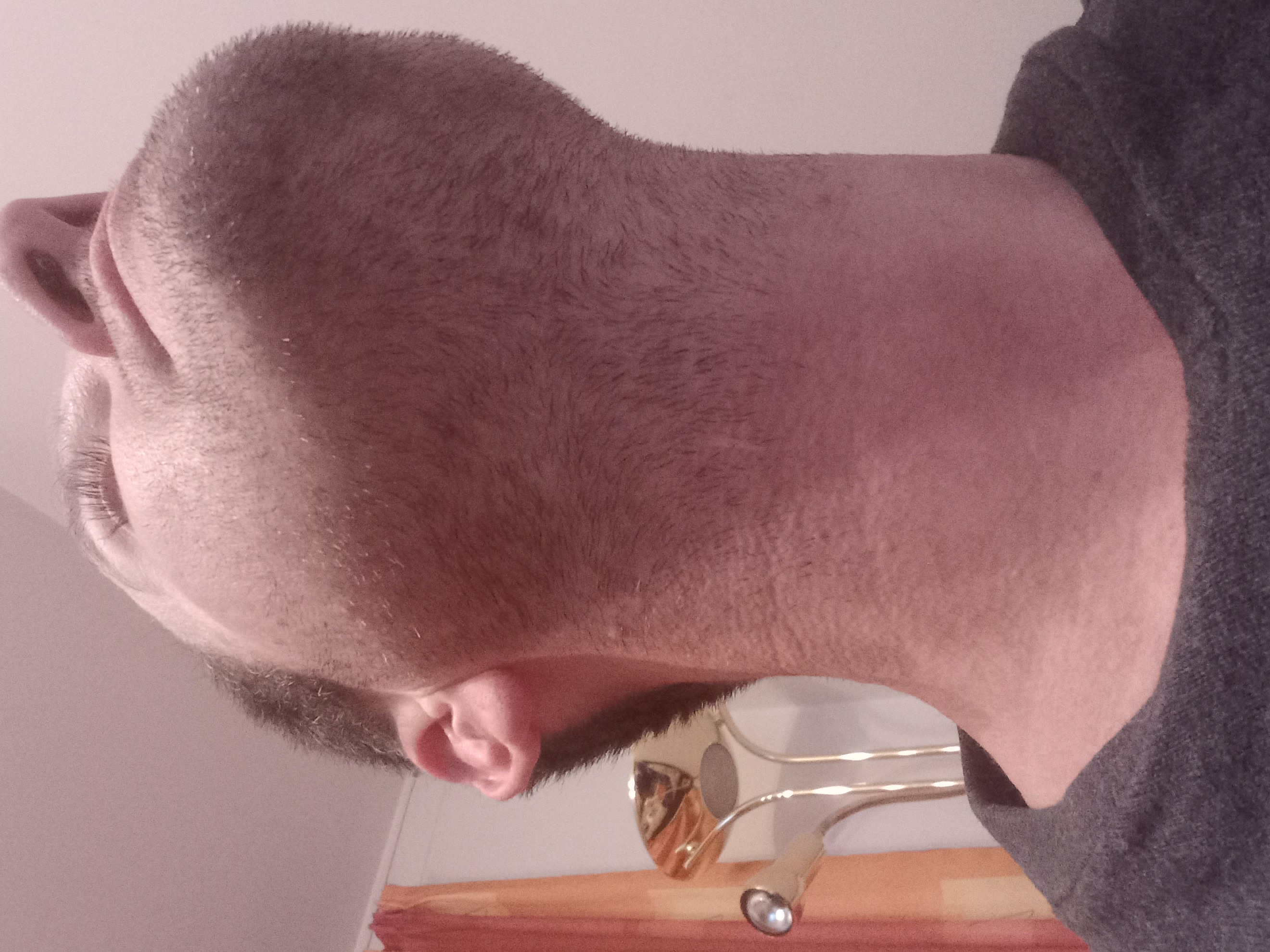 /foren/transplant/index.php/fa/63219/0/