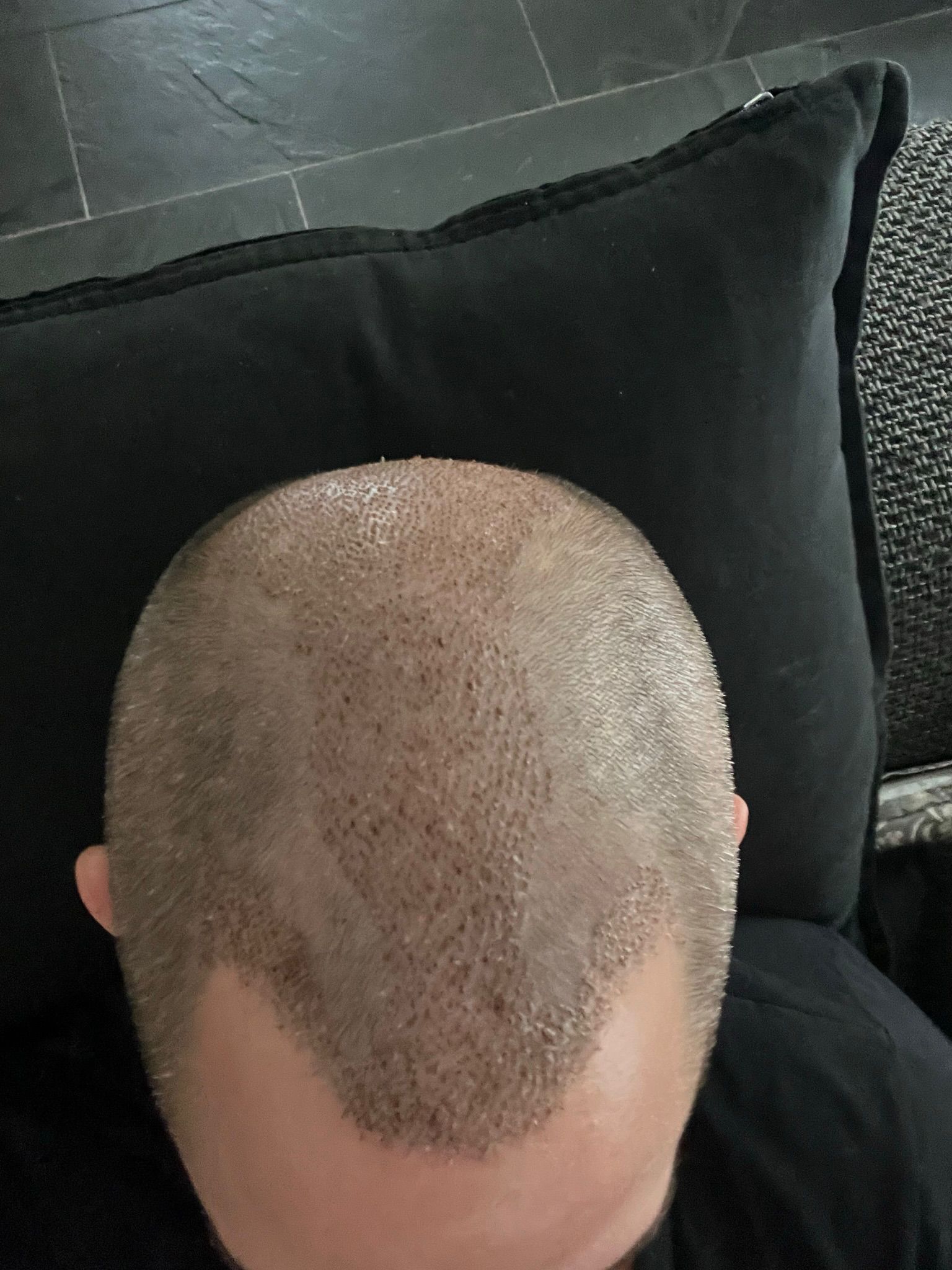 /foren/transplant/index.php/fa/63805/0/