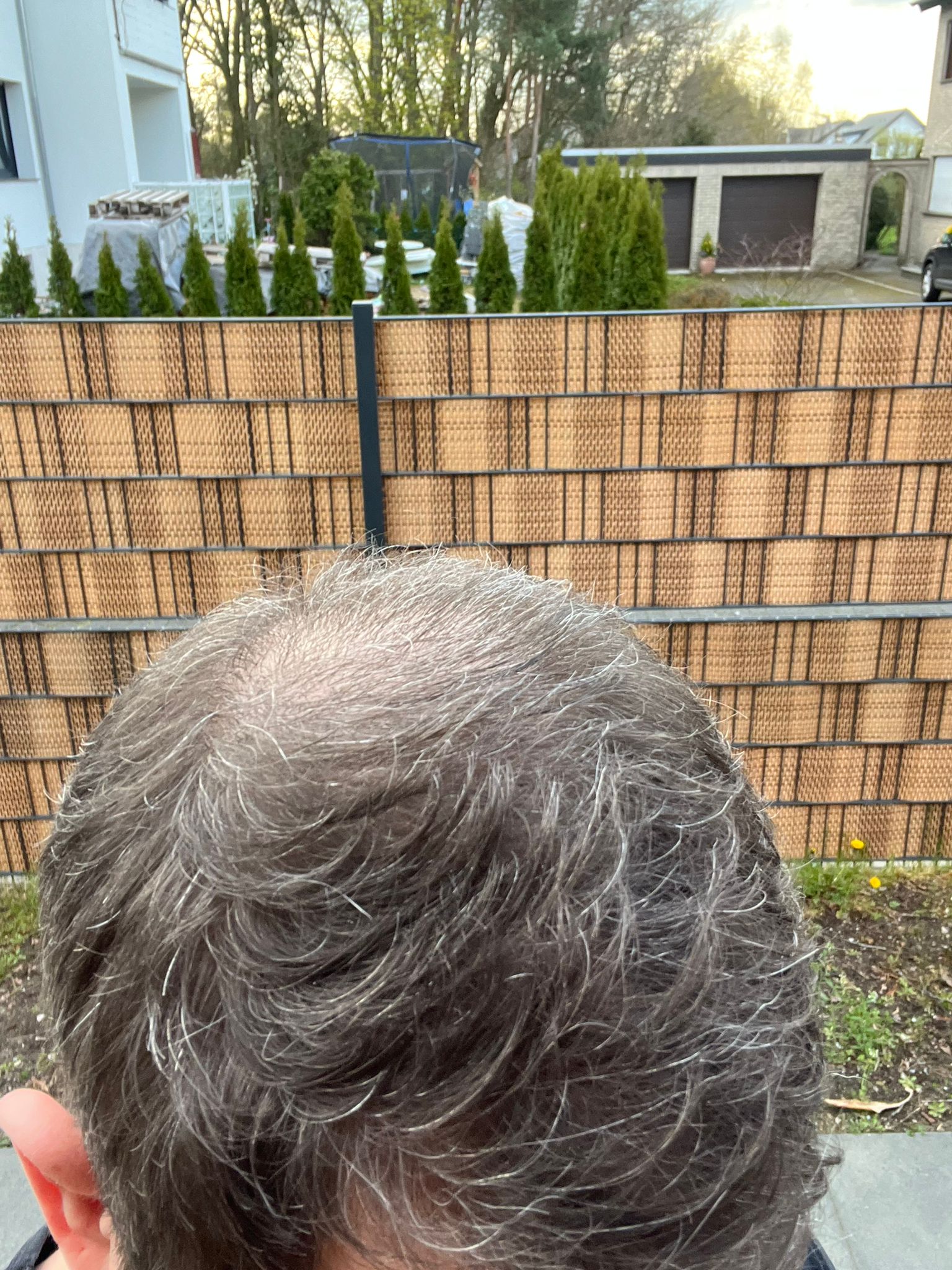 /foren/transplant/index.php/fa/63818/0/