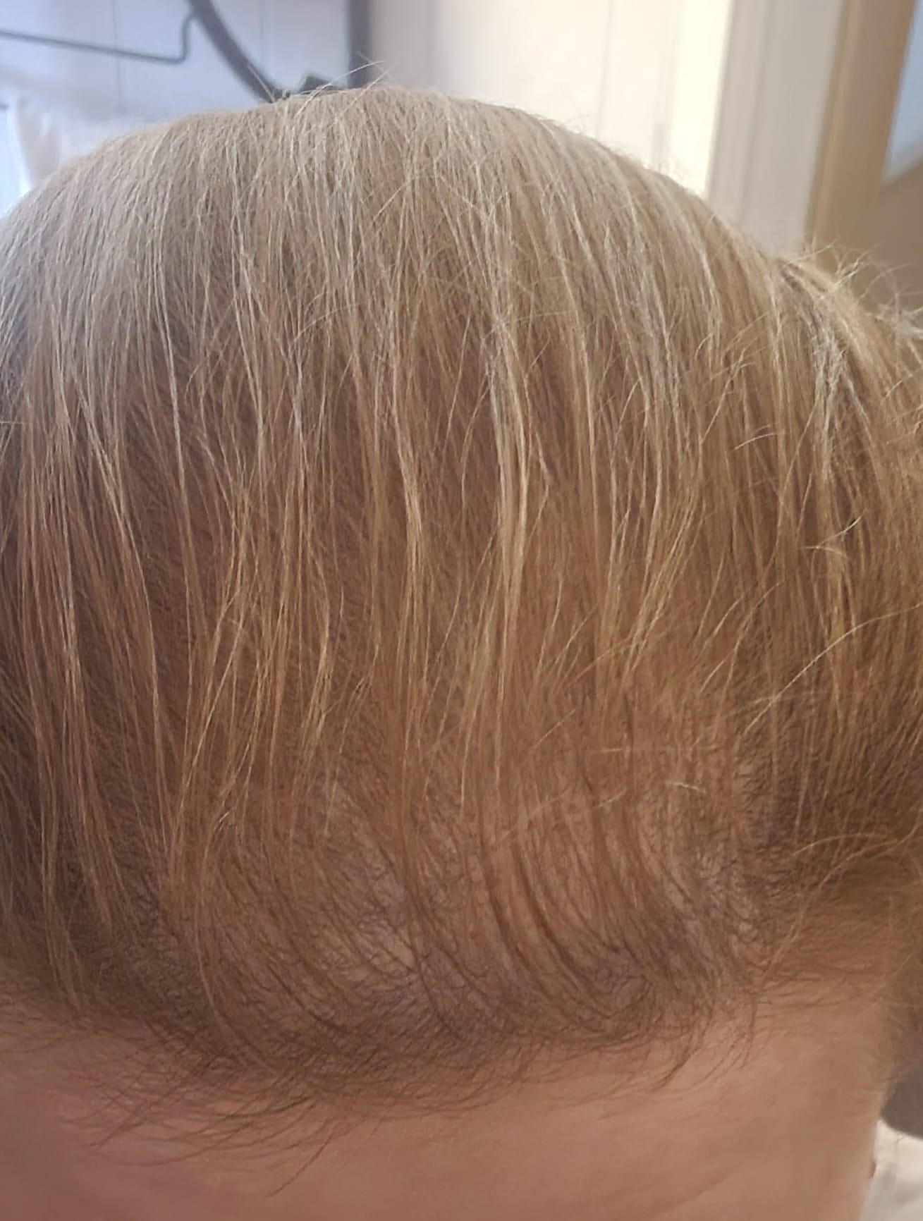 /foren/transplant/index.php/fa/64373/0/