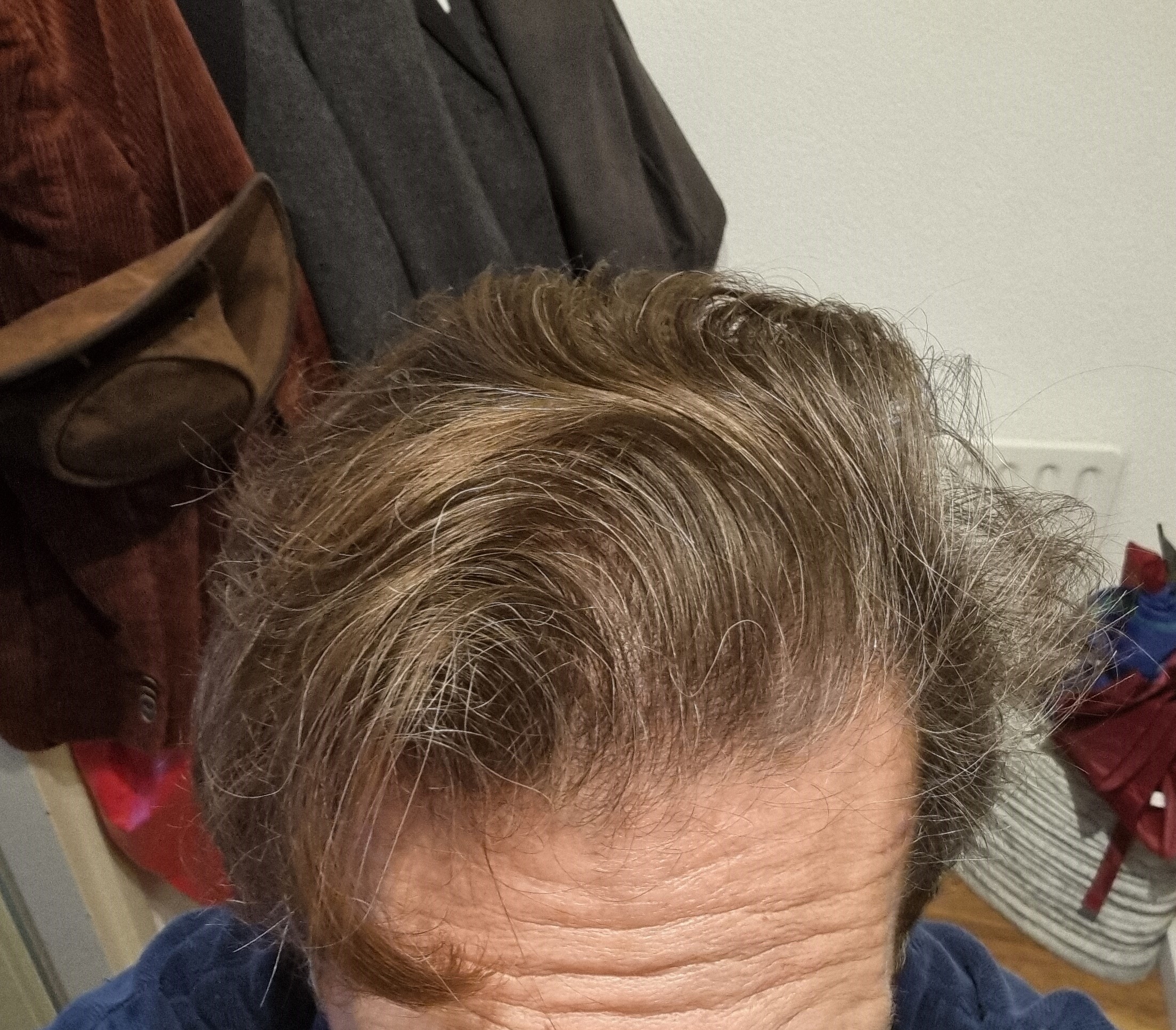 /foren/transplant/index.php/fa/65175/0/