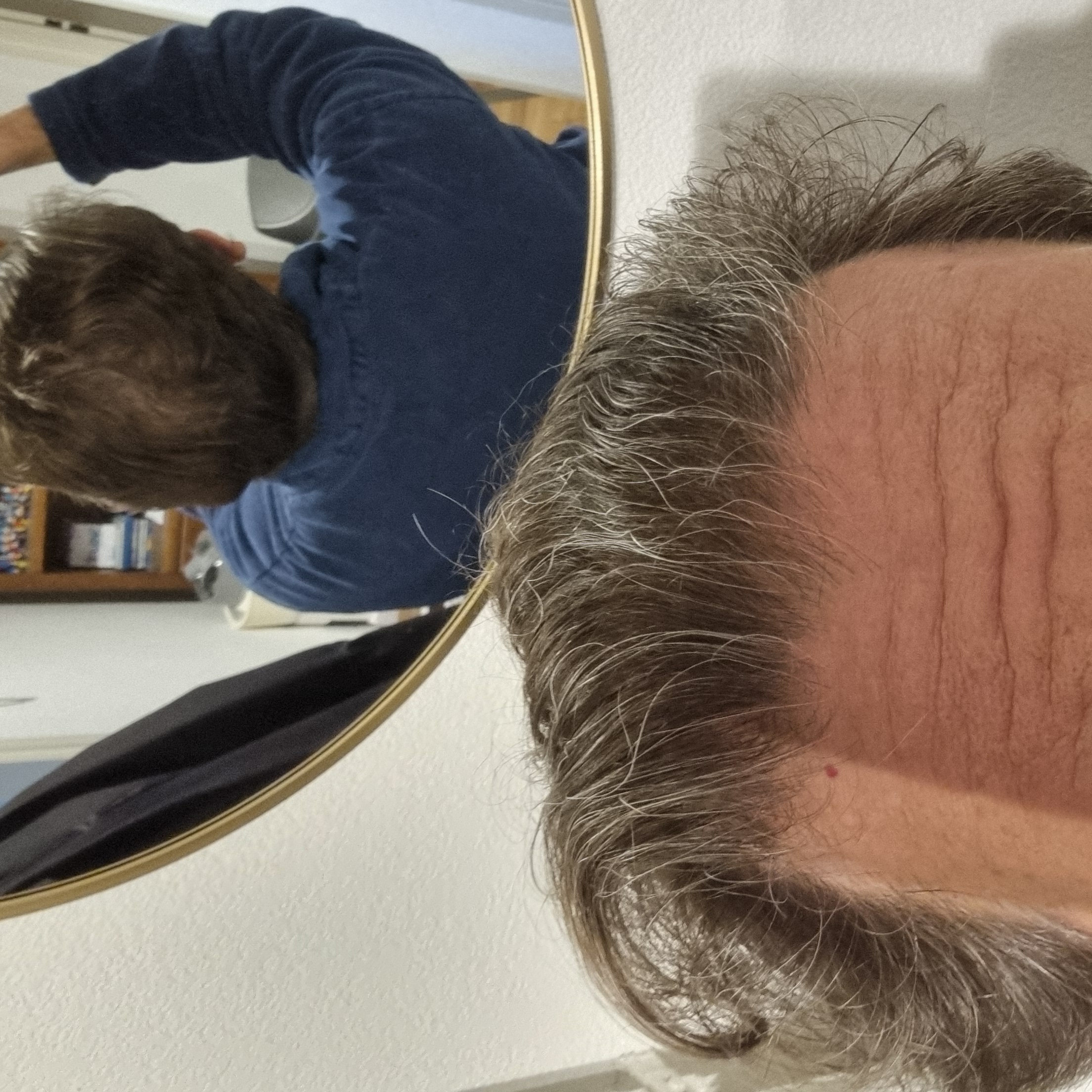 /foren/transplant/index.php/fa/65178/0/