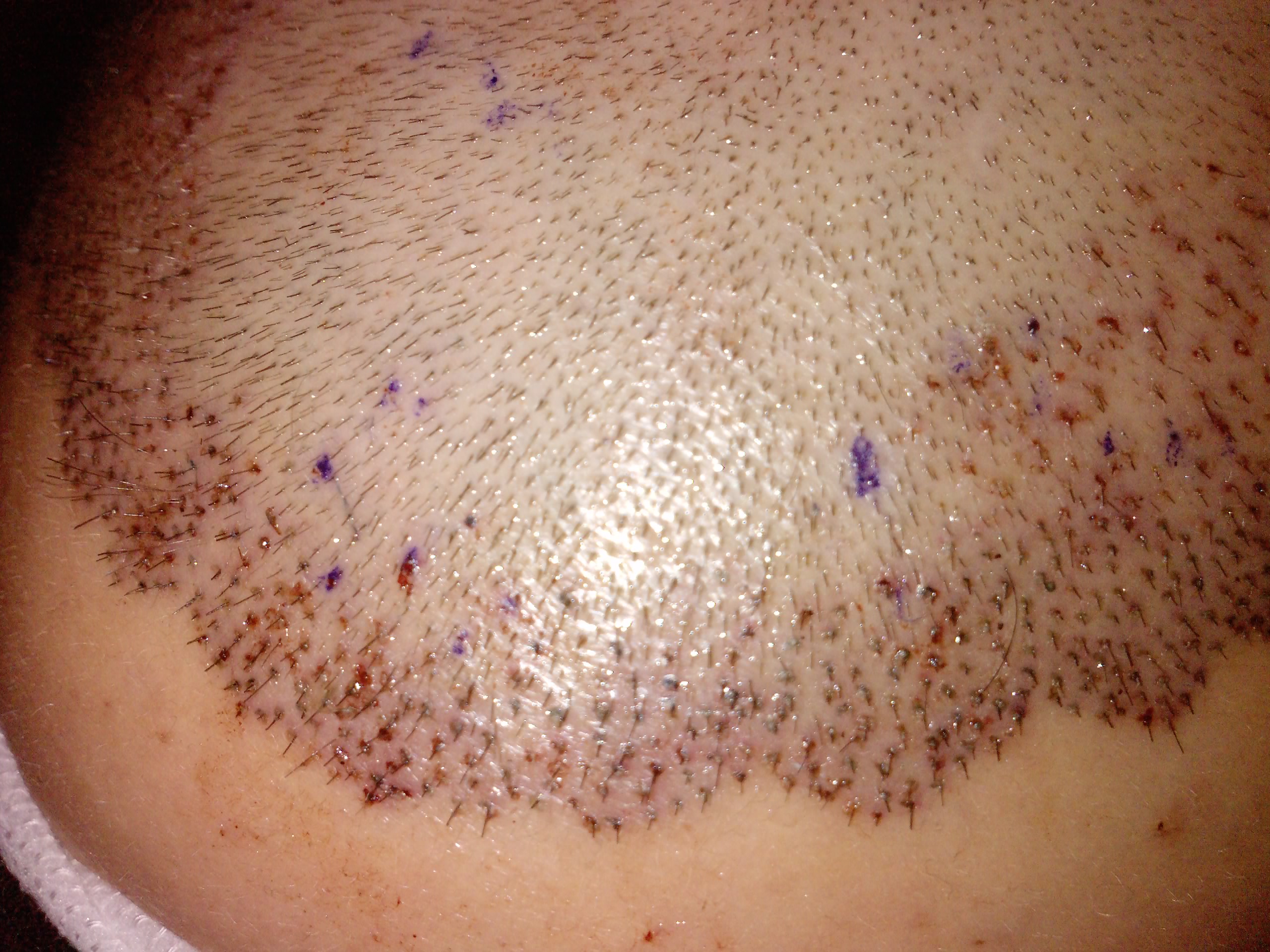 index.php/fa/6724/0/