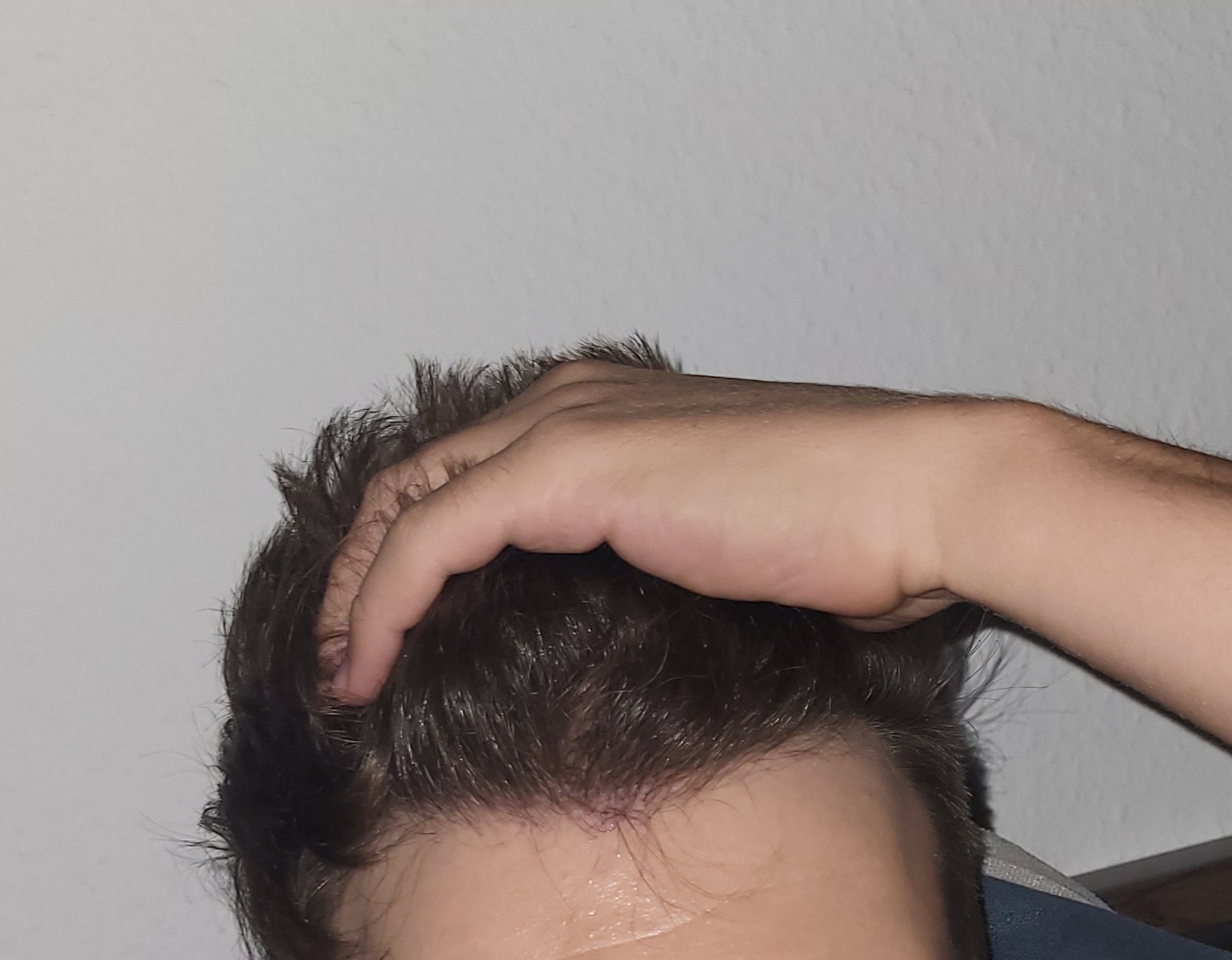 /foren/transplant/index.php/fa/67396/0/