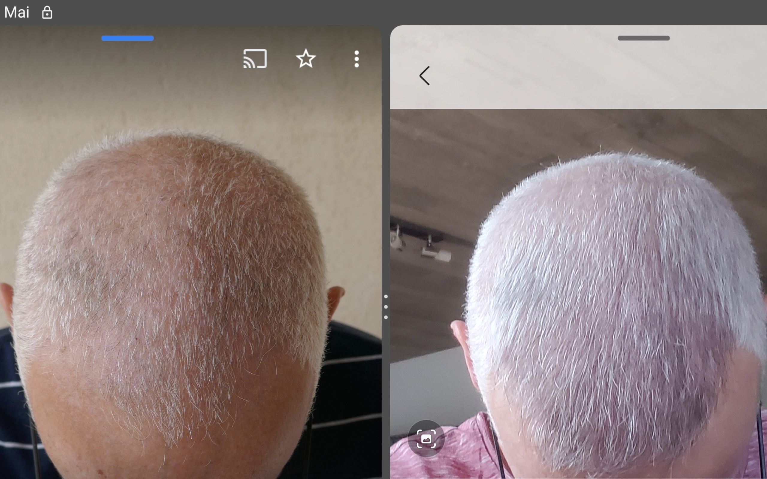 /foren/transplant/index.php/fa/67703/0/