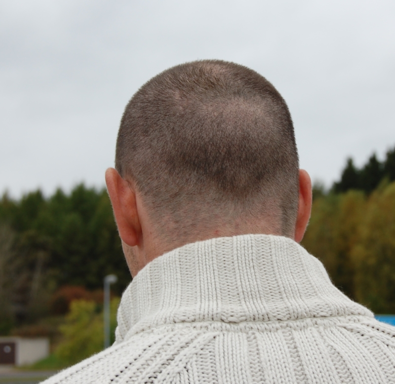 index.php/fa/7343/0/