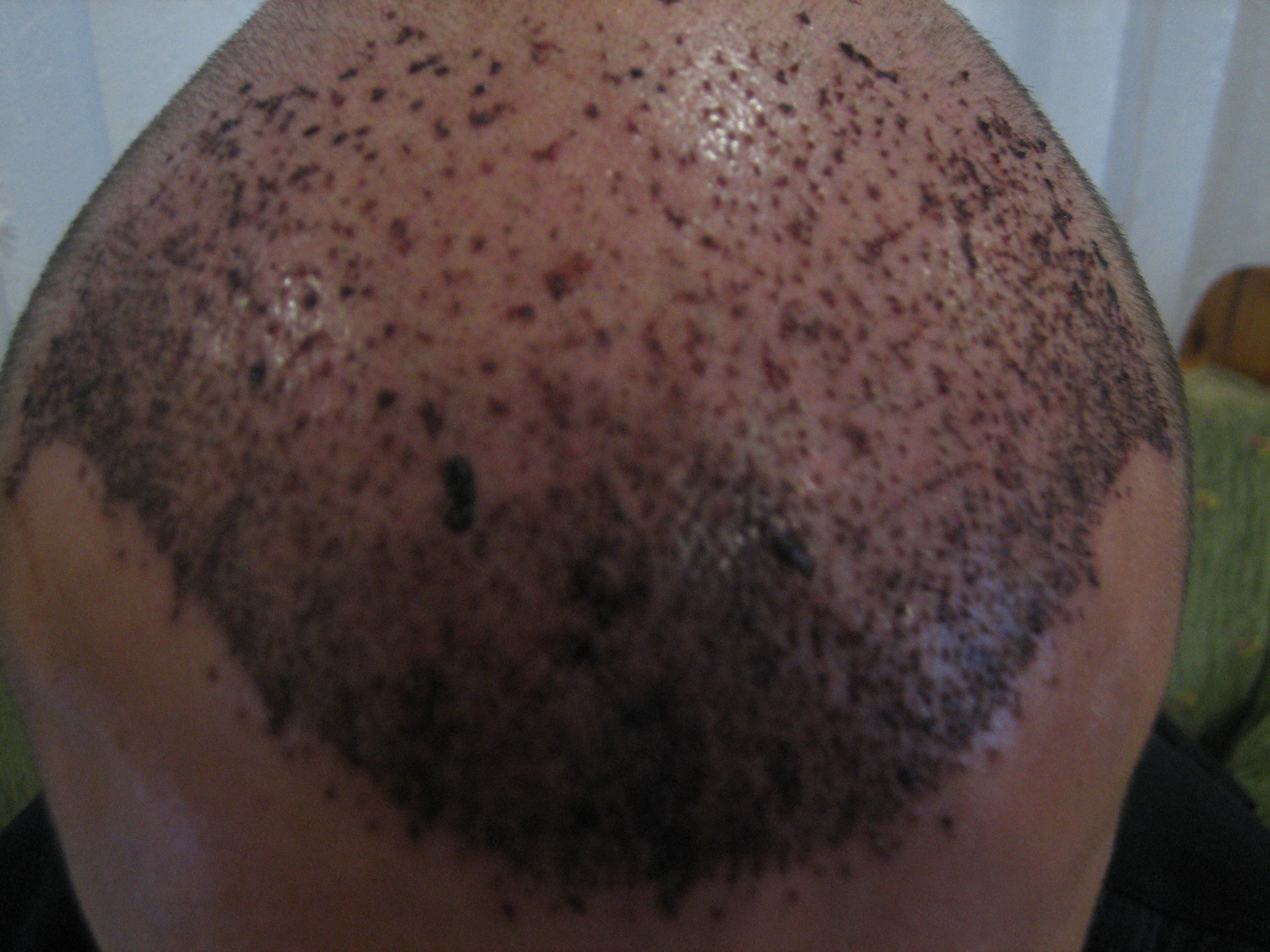 index.php/fa/7370/0/