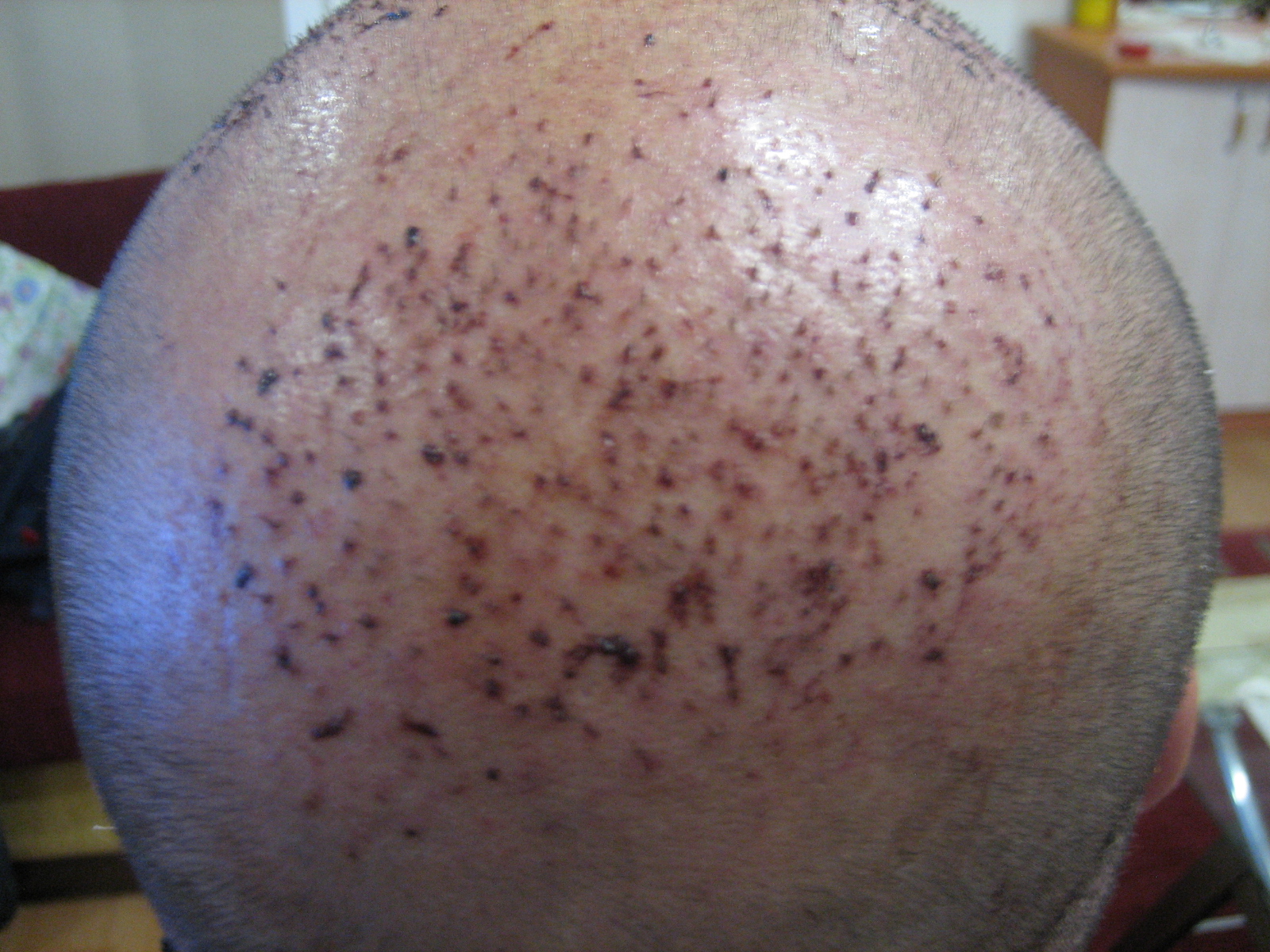 index.php/fa/7372/0/