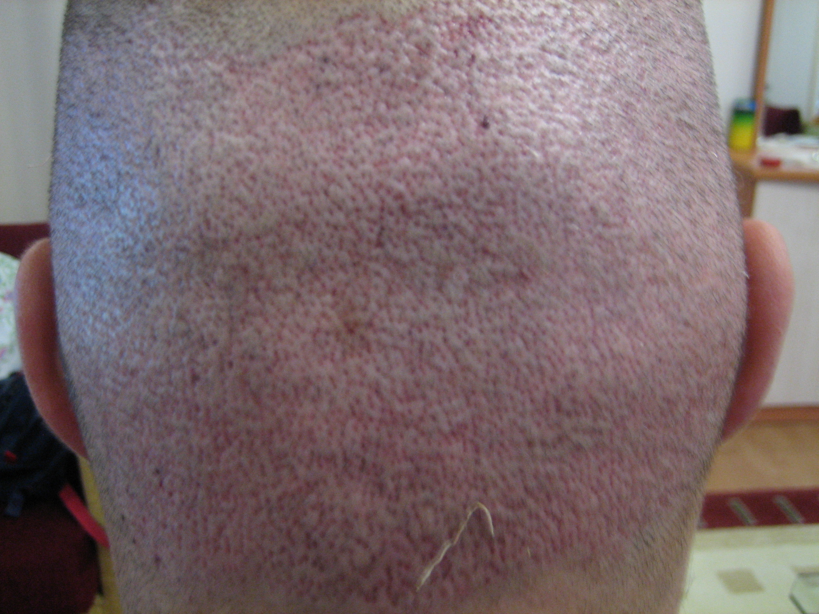 index.php/fa/7373/0/