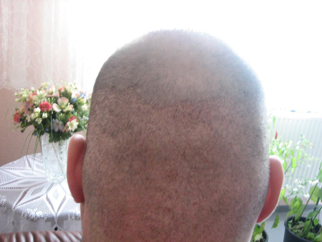 index.php/fa/7420/0/