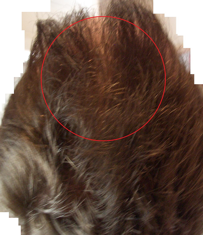 index.php/fa/7715/0/