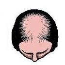 index.php/fa/8306/0/