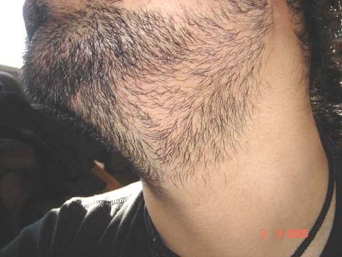 index.php/fa/8384/0/