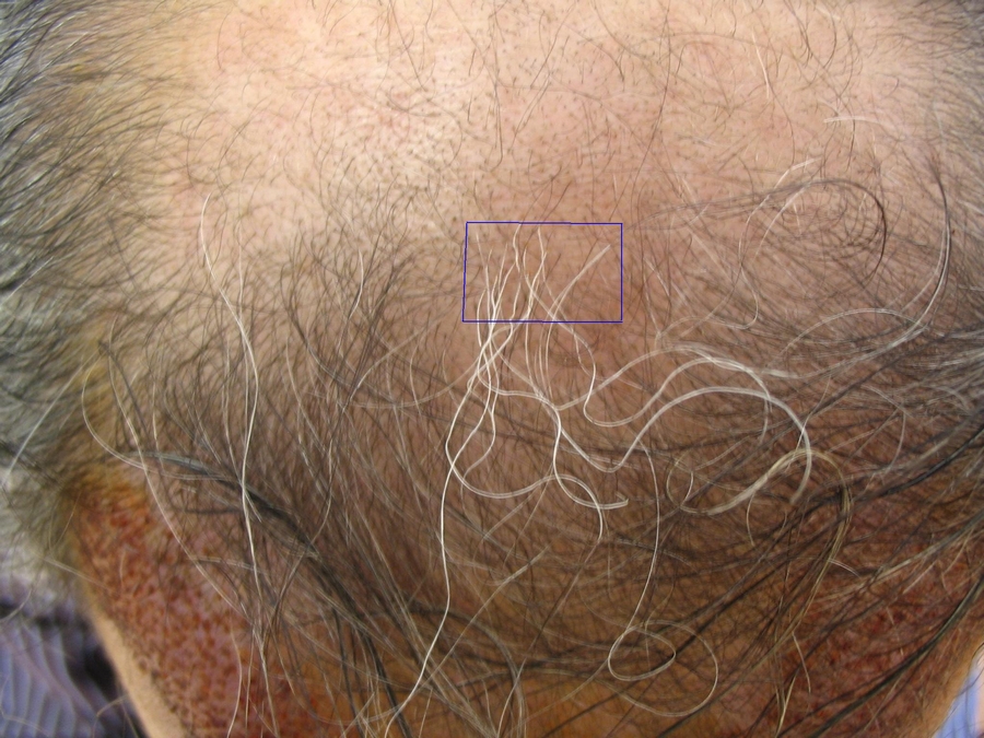 index.php/fa/8640/0/