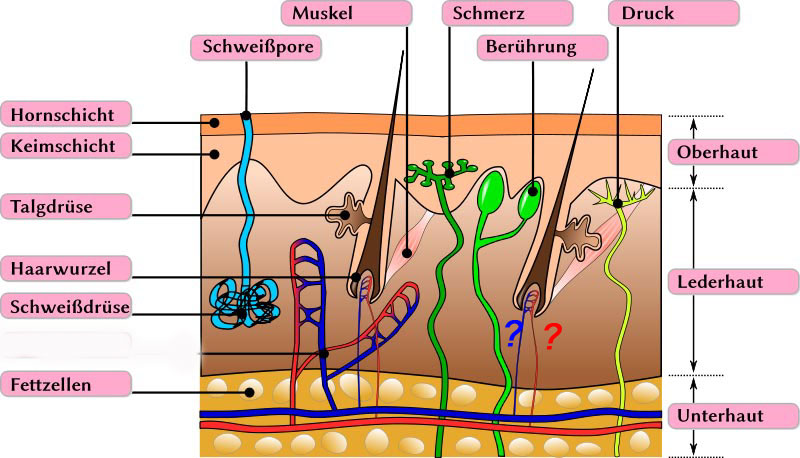 index.php/fa/8714/0/